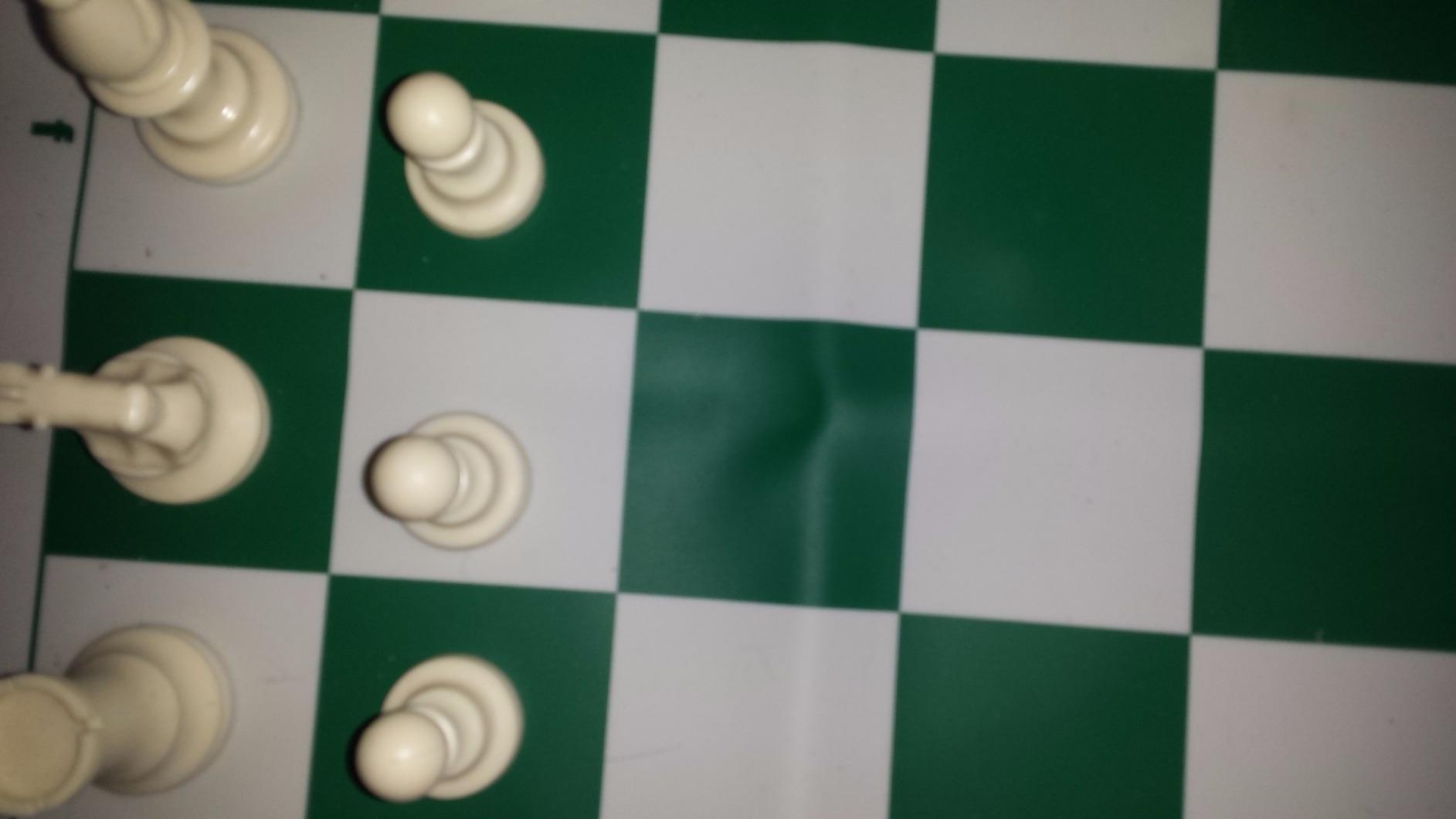 WE Games Original 100% Silicone Tournament Chess Mat - 20 in. Board, Green customer photo 2