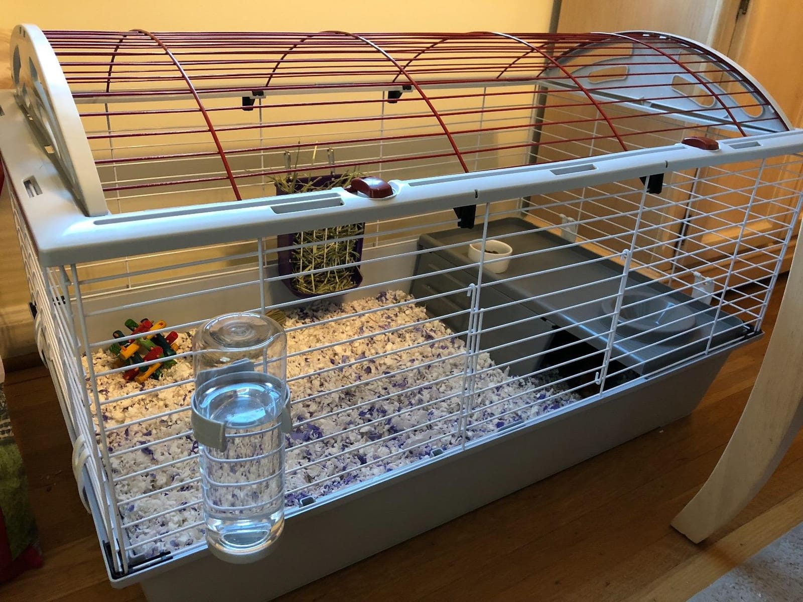 Living World - Deluxe Hybrid Habitat, X-Large customer photo 1