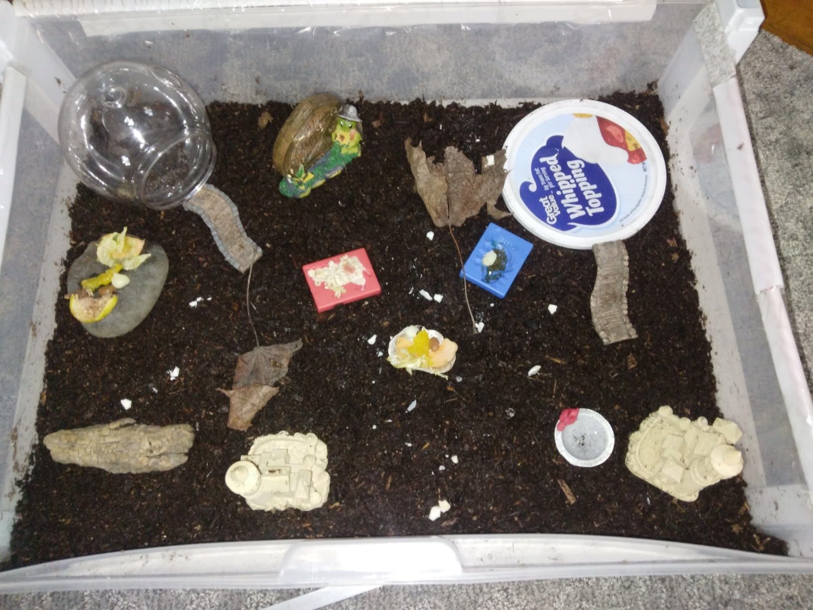 Zilla Pet Reptile Terrarium Substrate Bedding, Jungle Mix, for Frogs, Rainforest Geckos, Toads and Snakes, 8 Quart customer photo 1