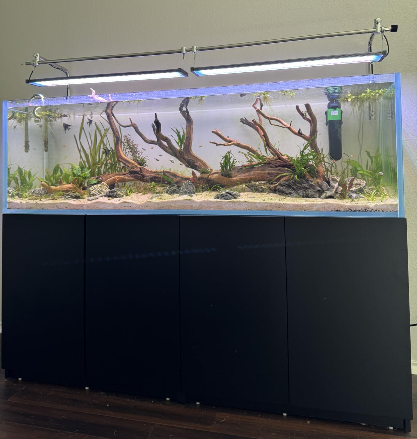 LANDEN 60P 16 Gallon Rimless Low Iron Aquarium Tank, 23.6