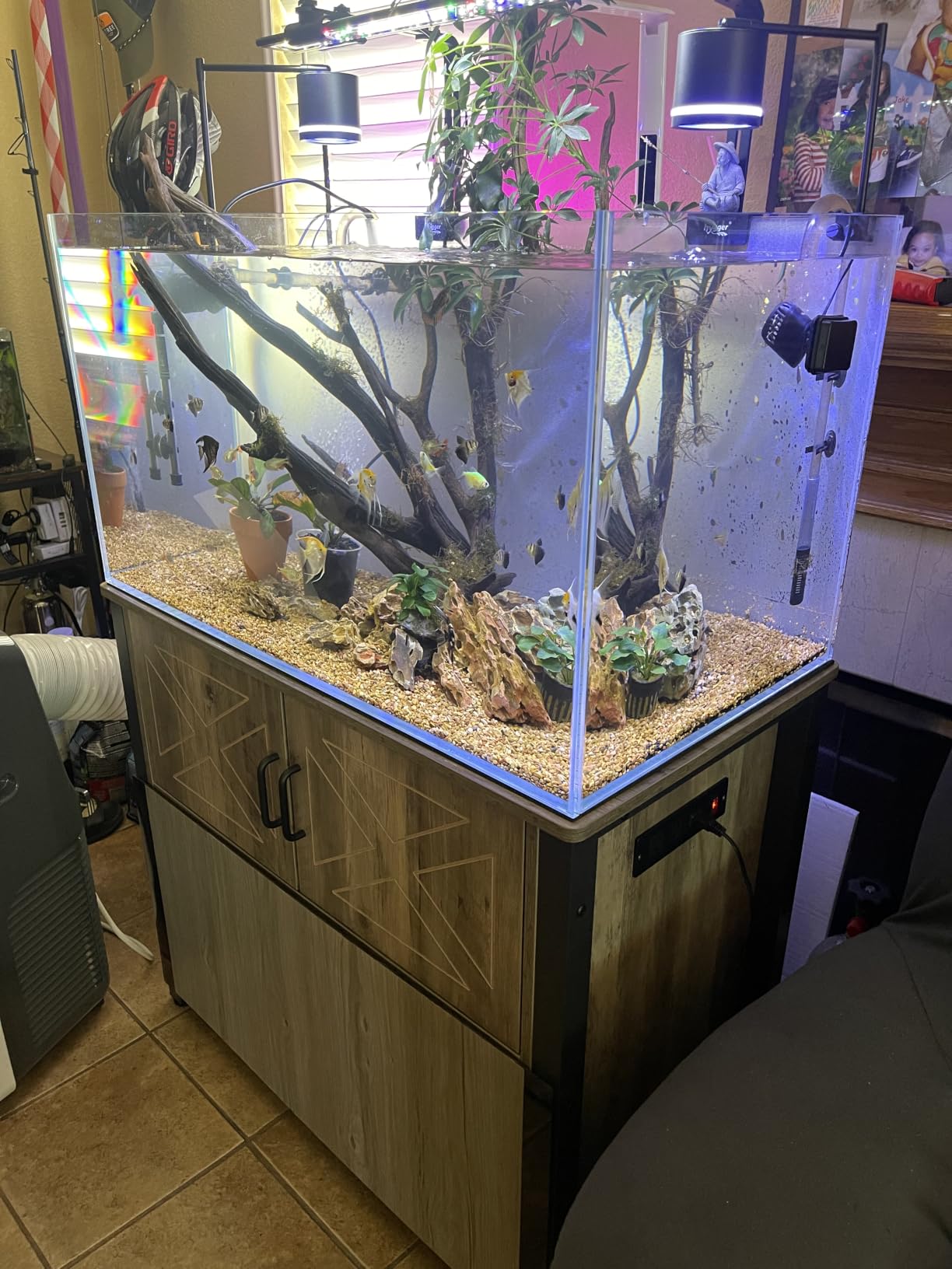 LANDEN 60P 16 Gallon Rimless Low Iron Aquarium Tank, 23.6