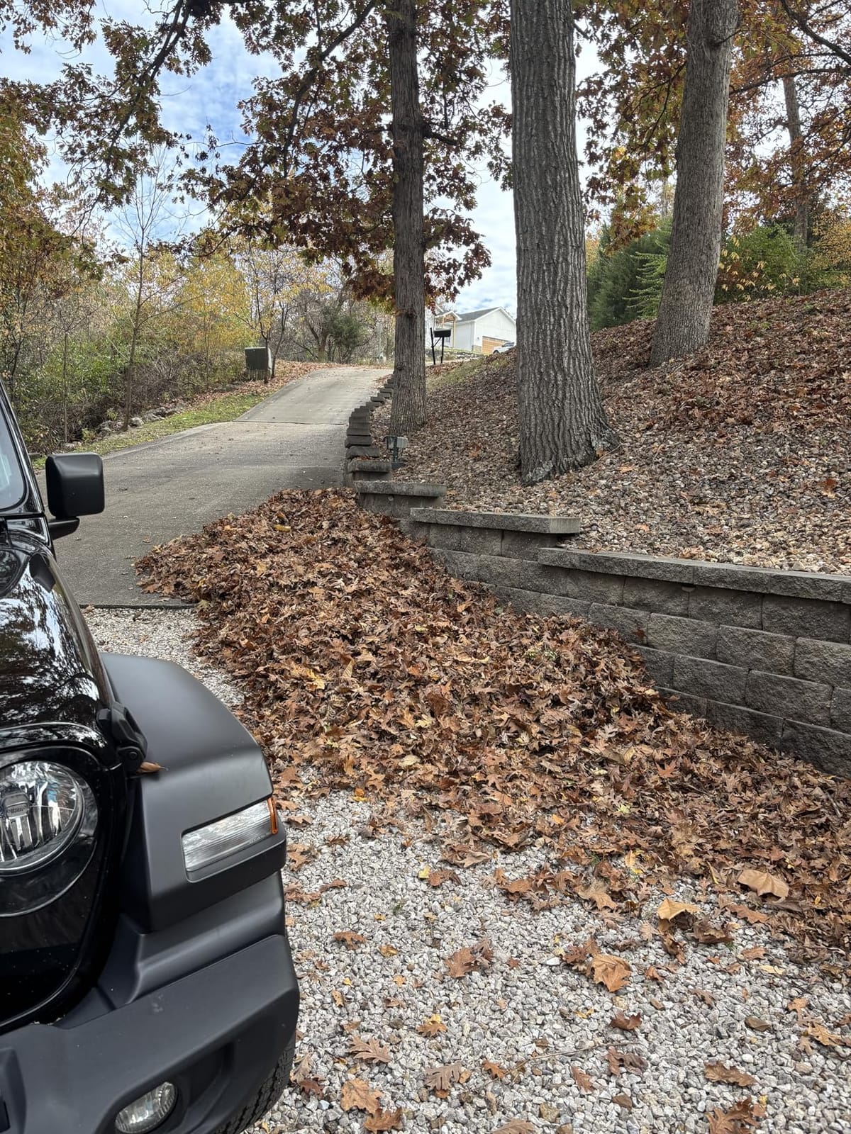 WORX 12 Amp Turbine Electric Leaf Blower, WG520 | 600CFM & 110MPH, Corded customer photo 2