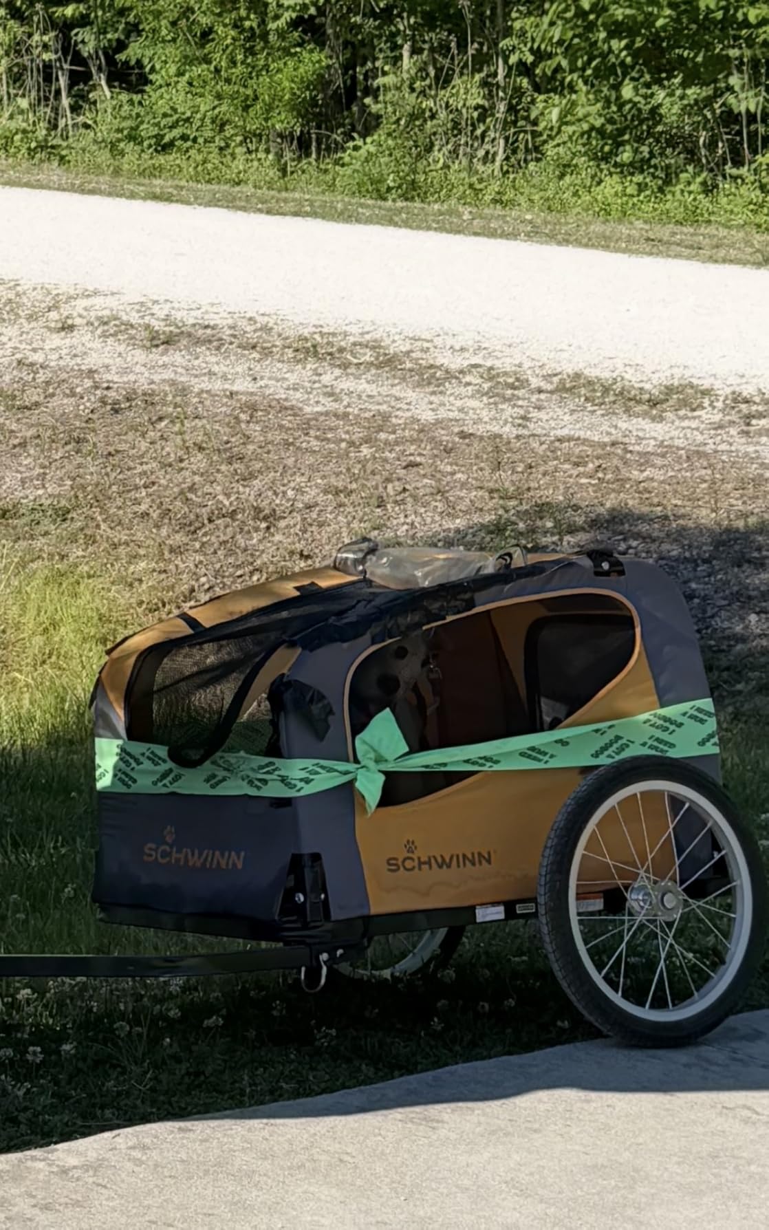 Schwinn 13-SC315 Rascal Bike Pet Trailer, For Small and Large Dogs, Lightweight, Tow with Bicycle, Up to 50 lbs customer photo 1