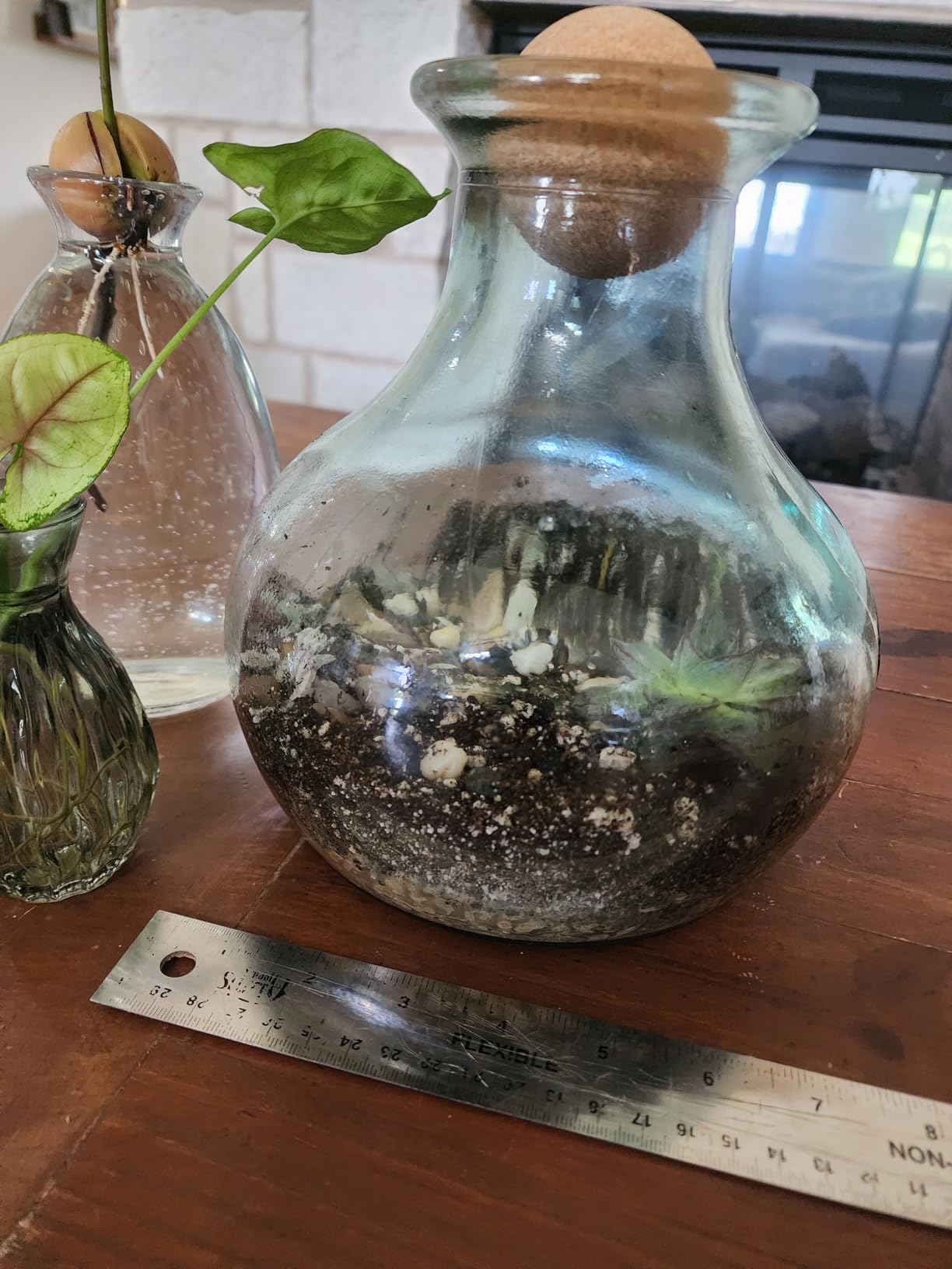 Succulent Planter Kit - Terrarium Kit with Succulent Soil, Gravel, Pebble, Moss customer photo 1