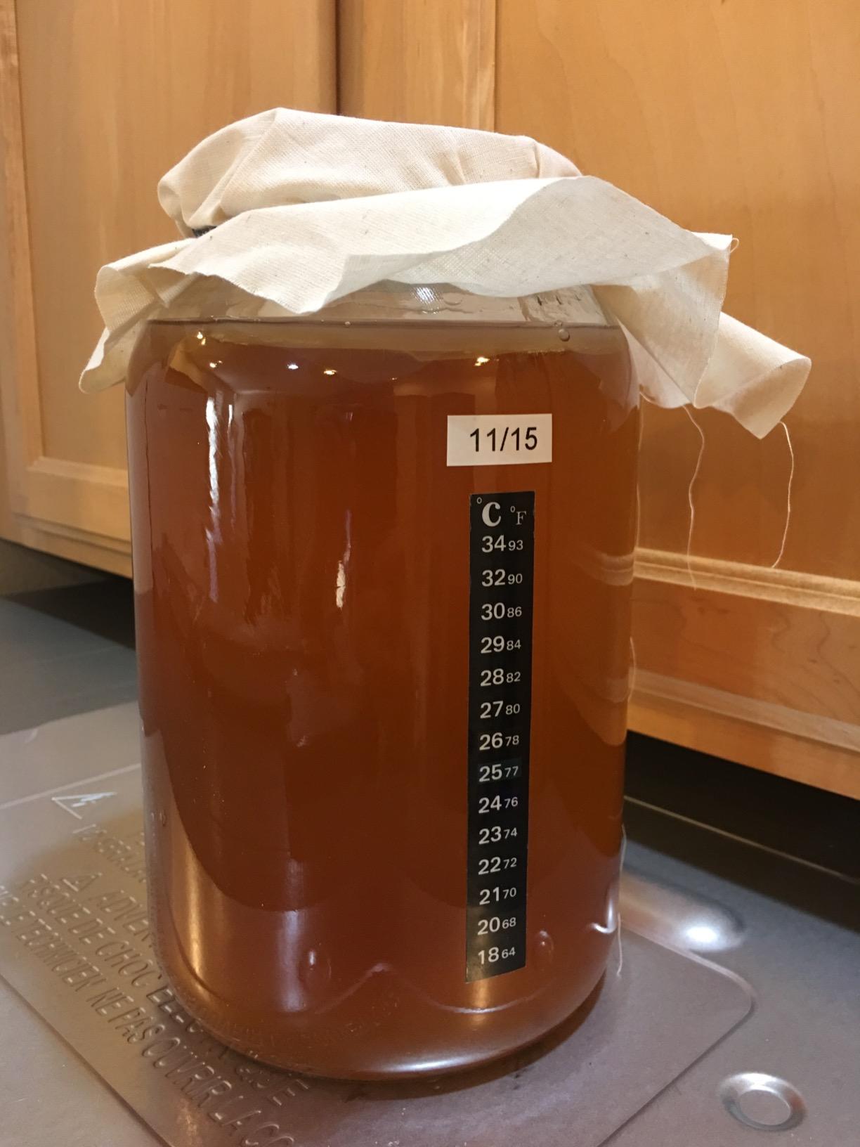 Kombucha Essentials Kit - Includes USDA Organic Kombucha SCOBY + 1-Gallon Glass Fermenting Jar with Breathable Cover + pH Strips + Rubber Band + Adhesive Thermometer - Brew kombucha at Home customer photo 2