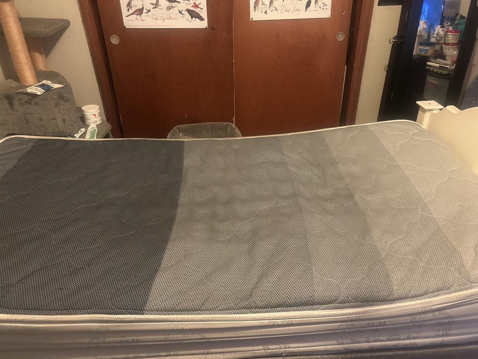 Niagara Sleep Solution Ultra Soft Queen Size Mattress Topper - Rayon Derived from Bamboo Pillow Top Mattress Pad for Back Pain Relief - Naturally Cooling for Hot Sleepers, Green customer photo 1