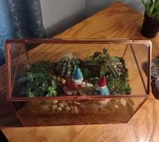 D'Eco Glass House Plant Terrarium, Centerpiece & Wedding Letterbox | Tabletop Geometric Planter Terrarium, Fill Display with Succulents, Moss, Air Plants, Ferns, Home & Office Decor Dims 10x6x8