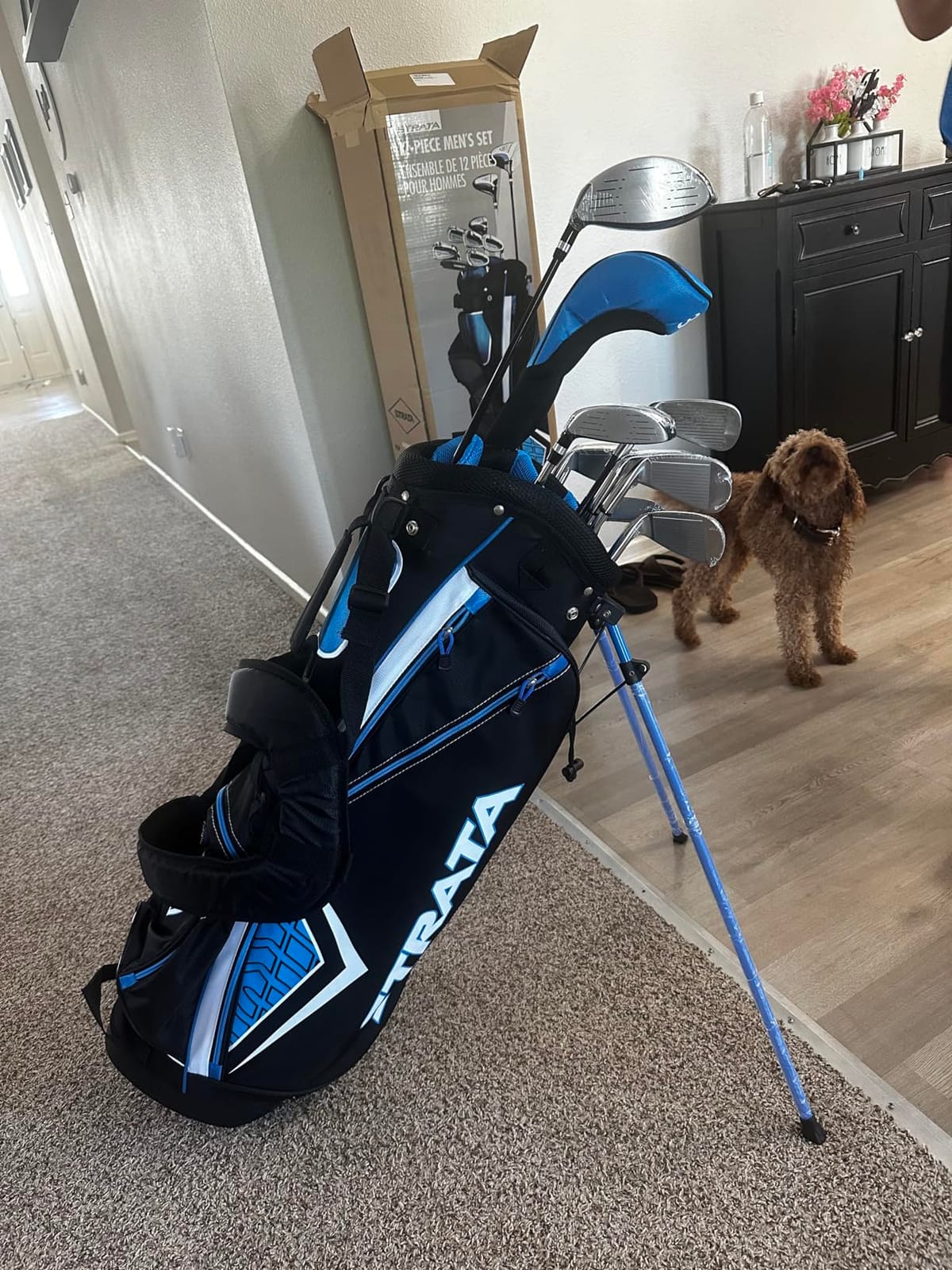 Callaway Strata Complete Golf Set (Men's and Women's) customer photo 2