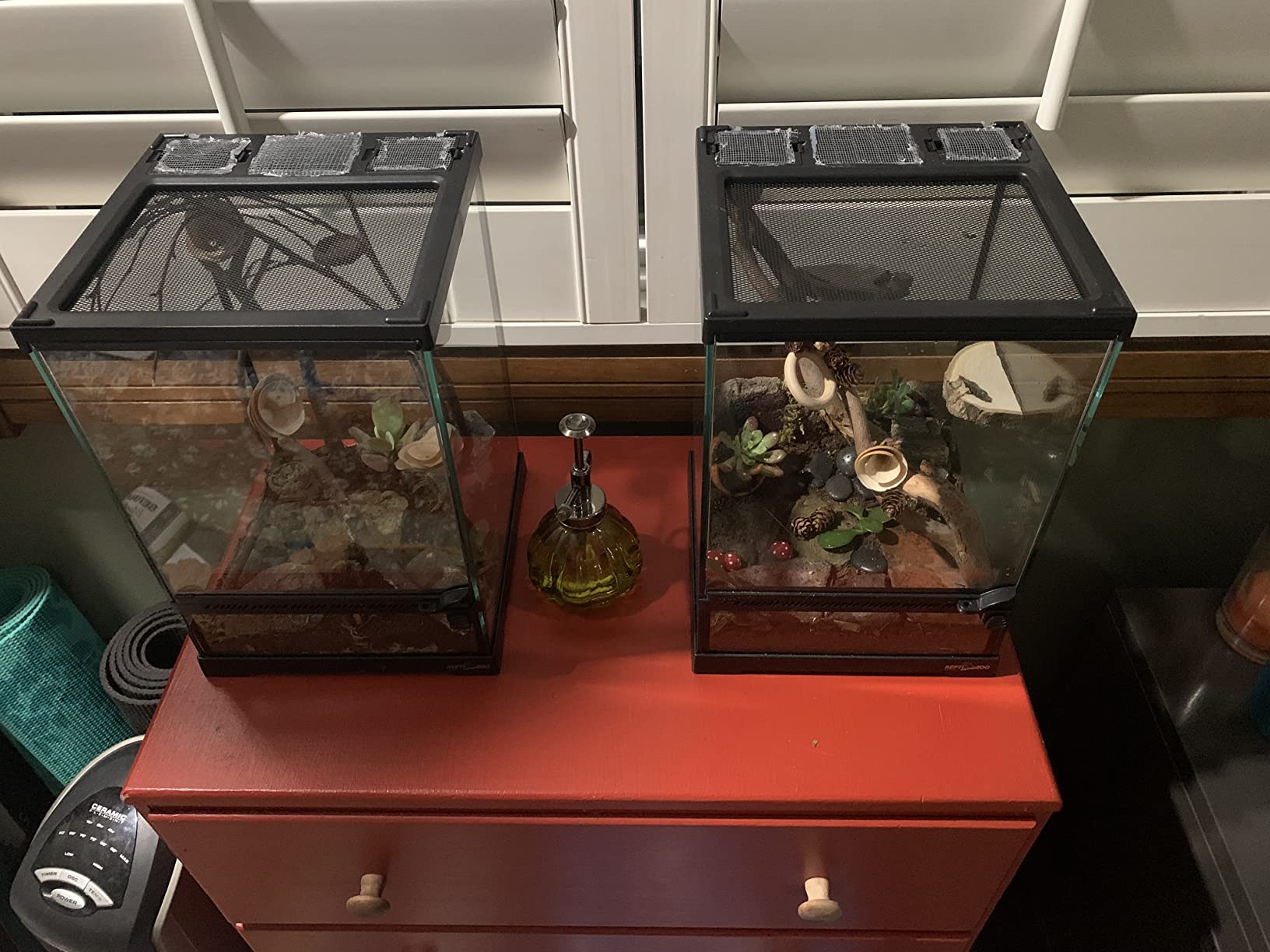 REPTI ZOO Mini Reptile Glass Terrarium, Front Opening Door Full View Visually Appealing Mini Reptile or Amphibians Glass Habitat customer photo 1