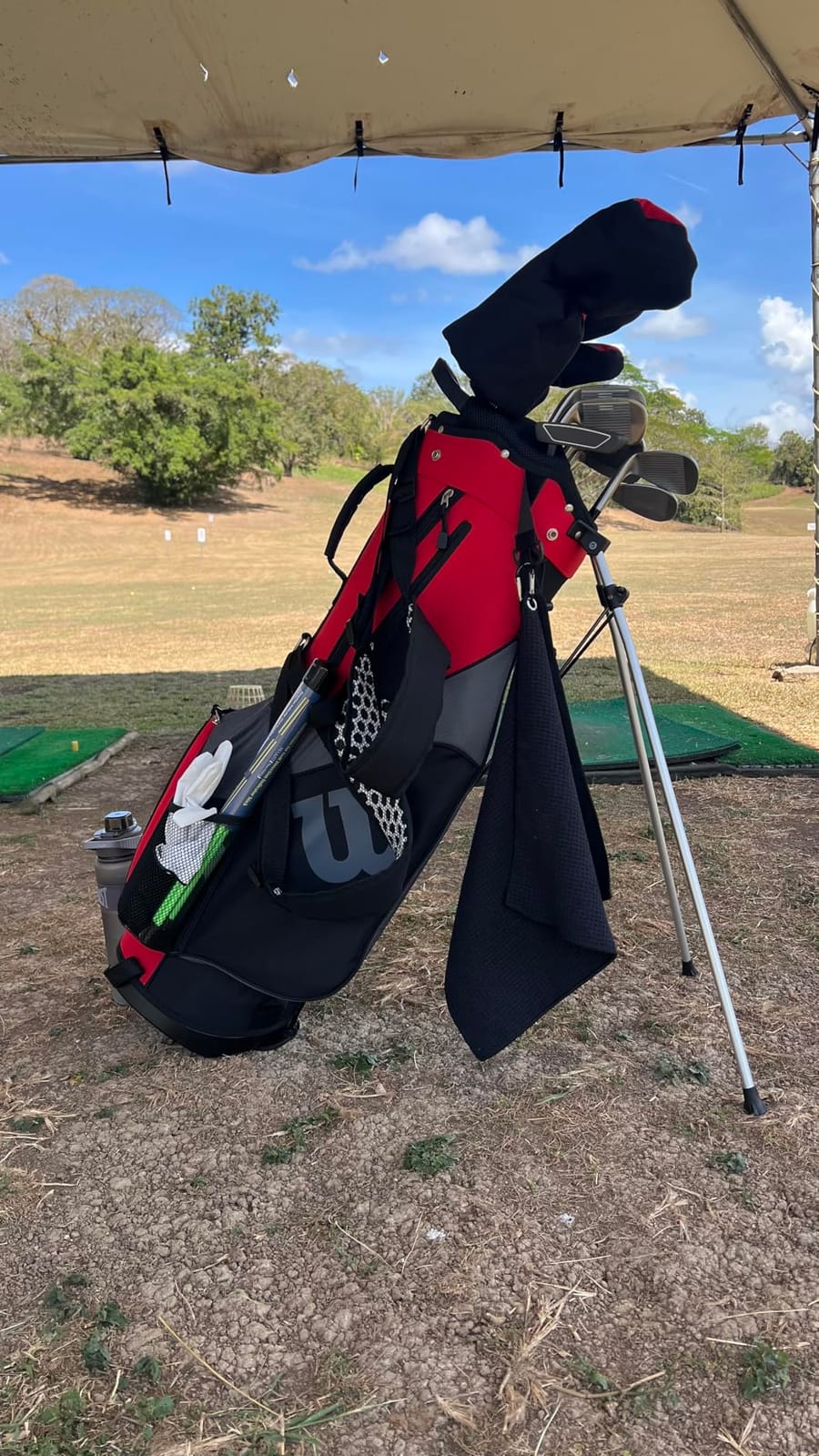 Wilson Men's Profile SGI Complete Golf Club Package Set - Men's and Senior customer photo 2
