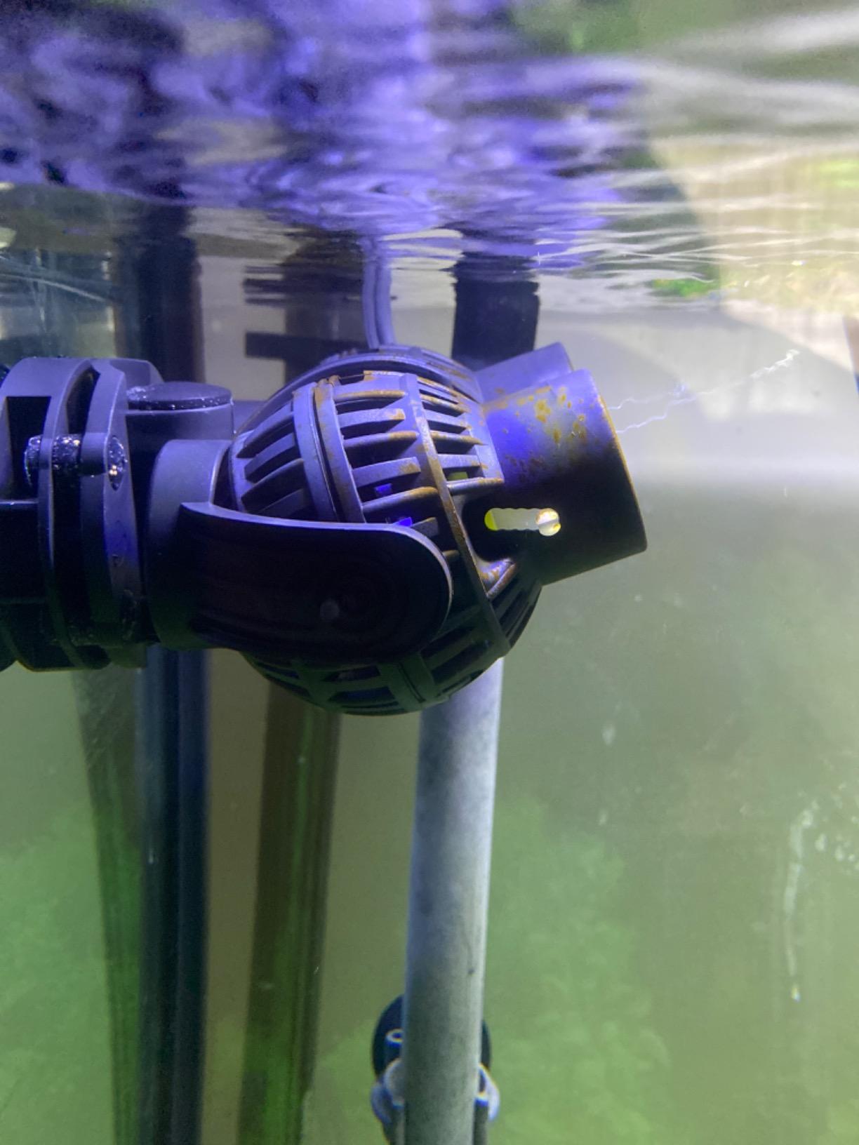 FREESEA Magnetic Wave Maker for Aquarium: 1s Snap on 15mm Glass & Dry-Hand Relocation - Dual 180 Adjustable Heads Eliminate Dead Spots Improve Water Quality for 55-125 Gallon Fish Tank customer photo 2