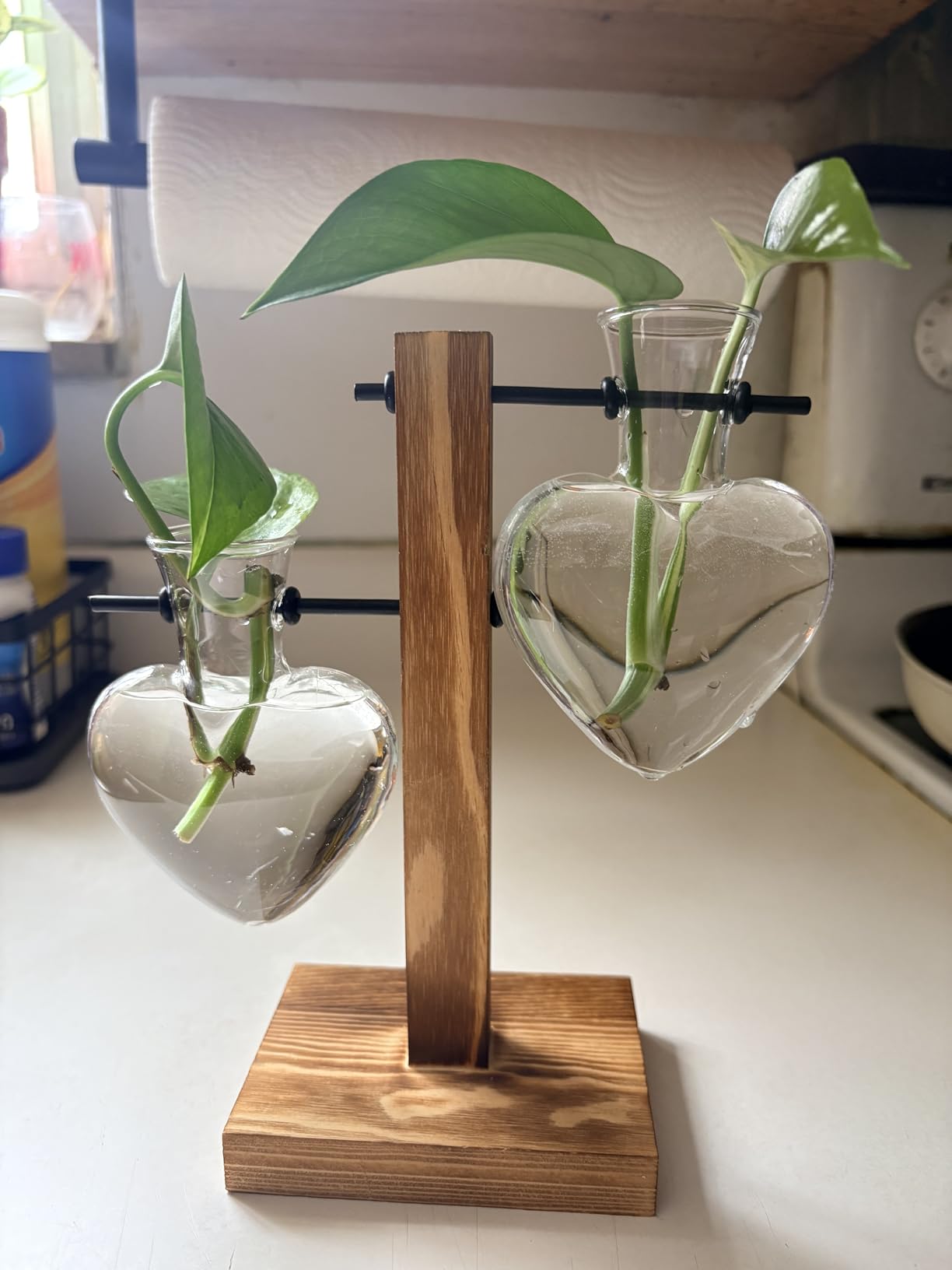 XXXFLOWER Plant Propagation Station Terrarium Wooden Stand 2 Love Bulb Vase | Flower Glass Vase Plant Desktop Holder, Home Garden Office Decor for Birthday Gift for Women Plant Lover customer photo 1