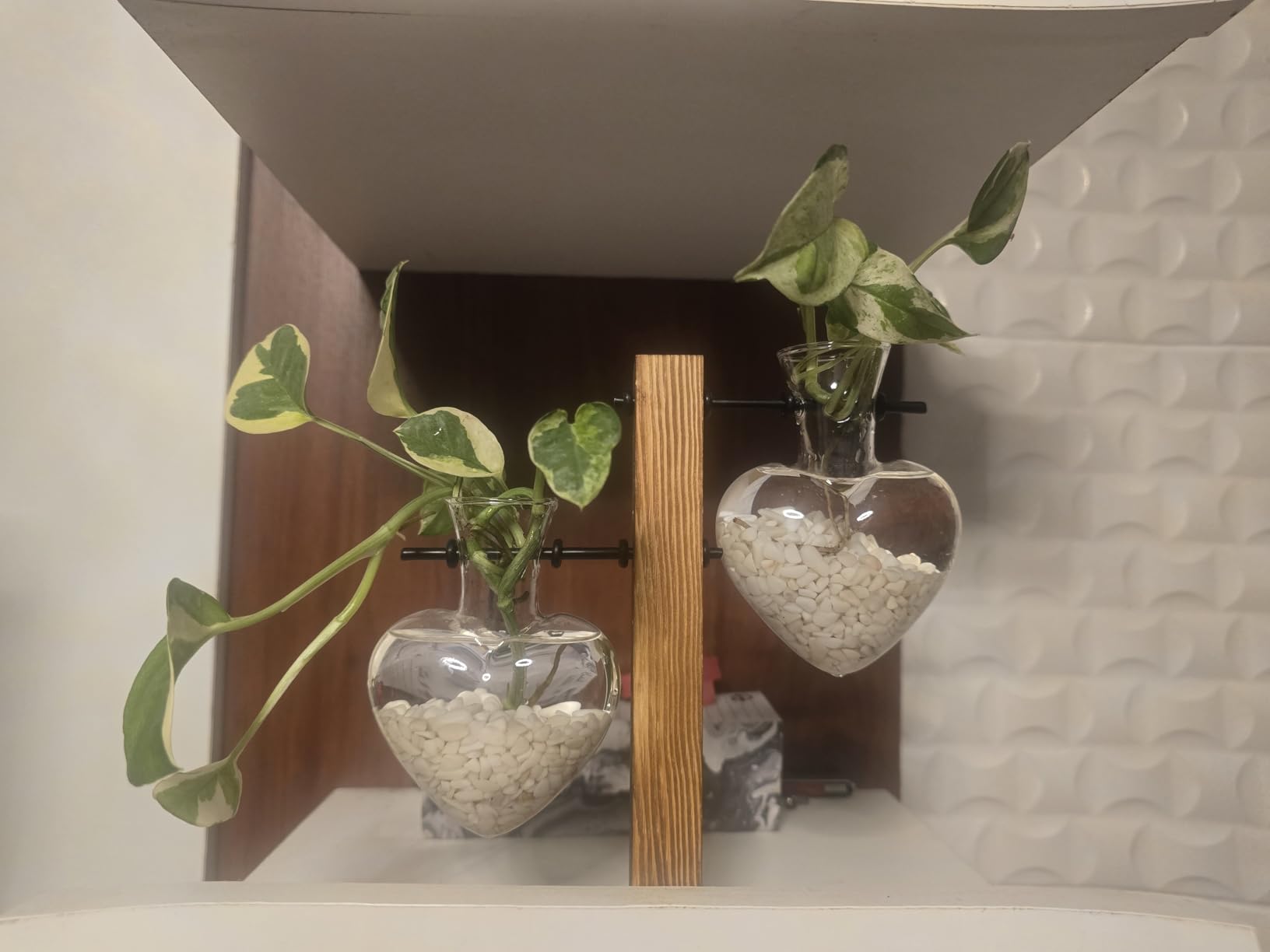 XXXFLOWER Plant Propagation Station Terrarium Wooden Stand 2 Love Bulb Vase | Flower Glass Vase Plant Desktop Holder, Home Garden Office Decor for Birthday Gift for Women Plant Lover customer photo 2