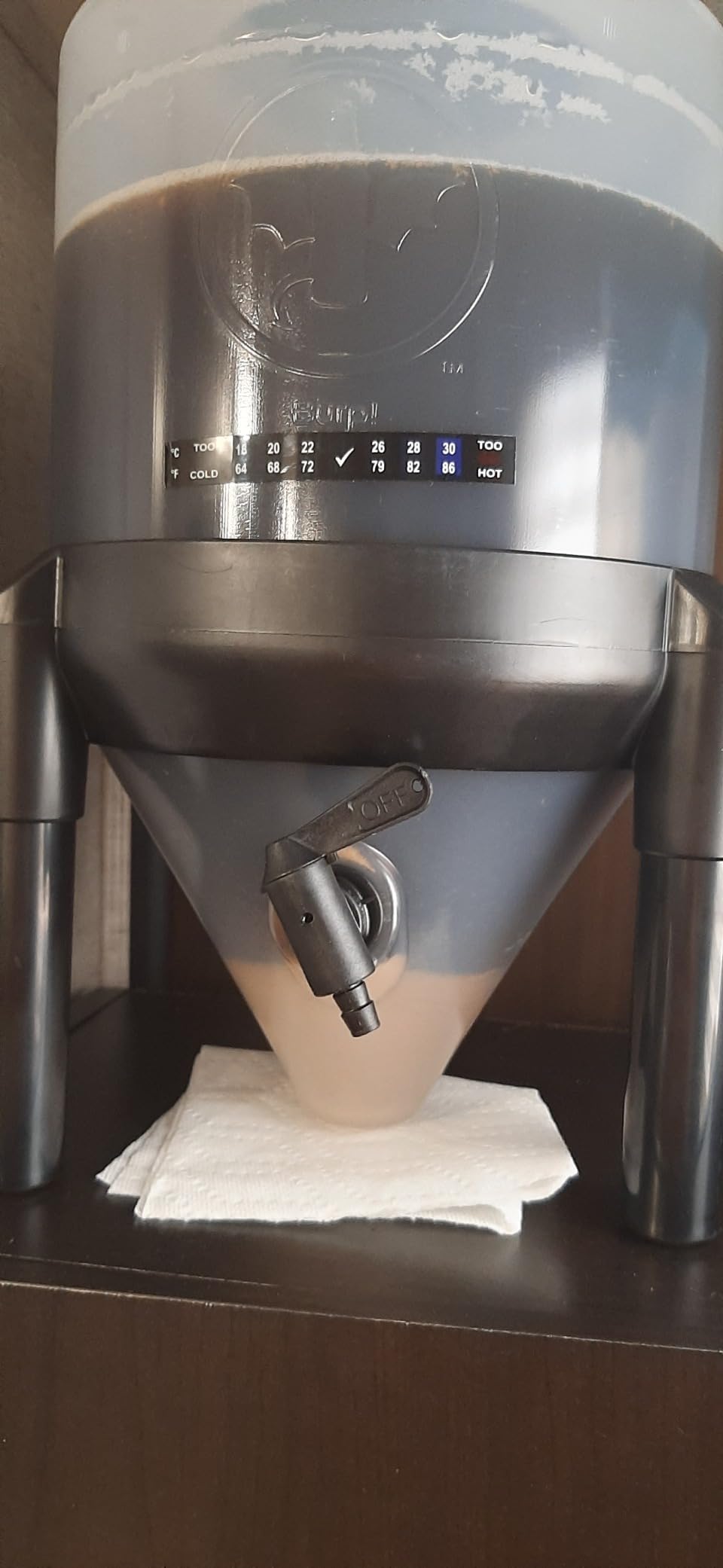 Premium Beer Making Kit w/Bottles - NO AIRLOCK OR Siphon Required - Conical Fermenter Eliminates Sediment and Makes Great Tasting Beer at Home - Includes Our 2 Gal. American Ale Recipe customer photo 1