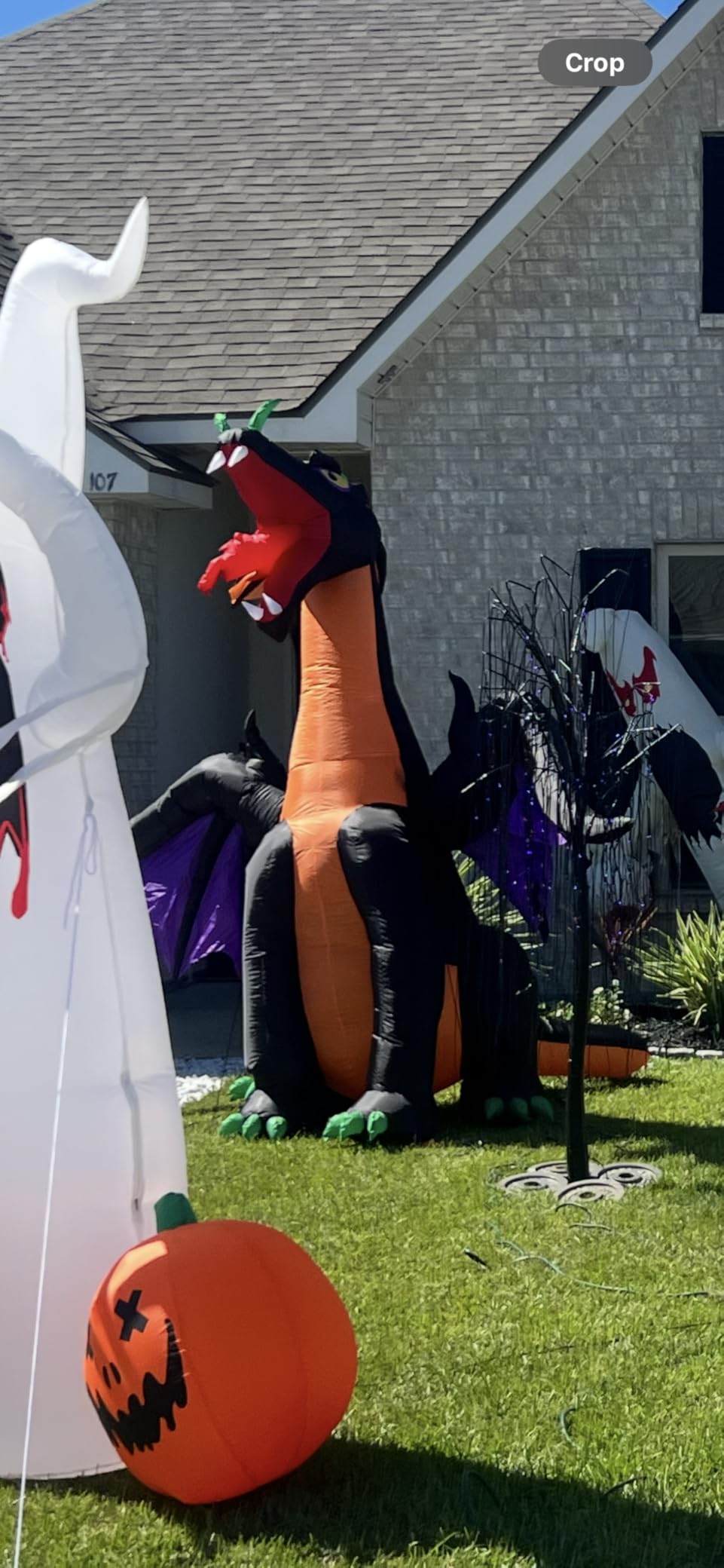 SEASONBLOW 12 FT Fire & Ice Dragon with Wings, Inflatable Halloween Decoration for Indoor Outdoor Home Party Lawn Garden Yard customer photo 2