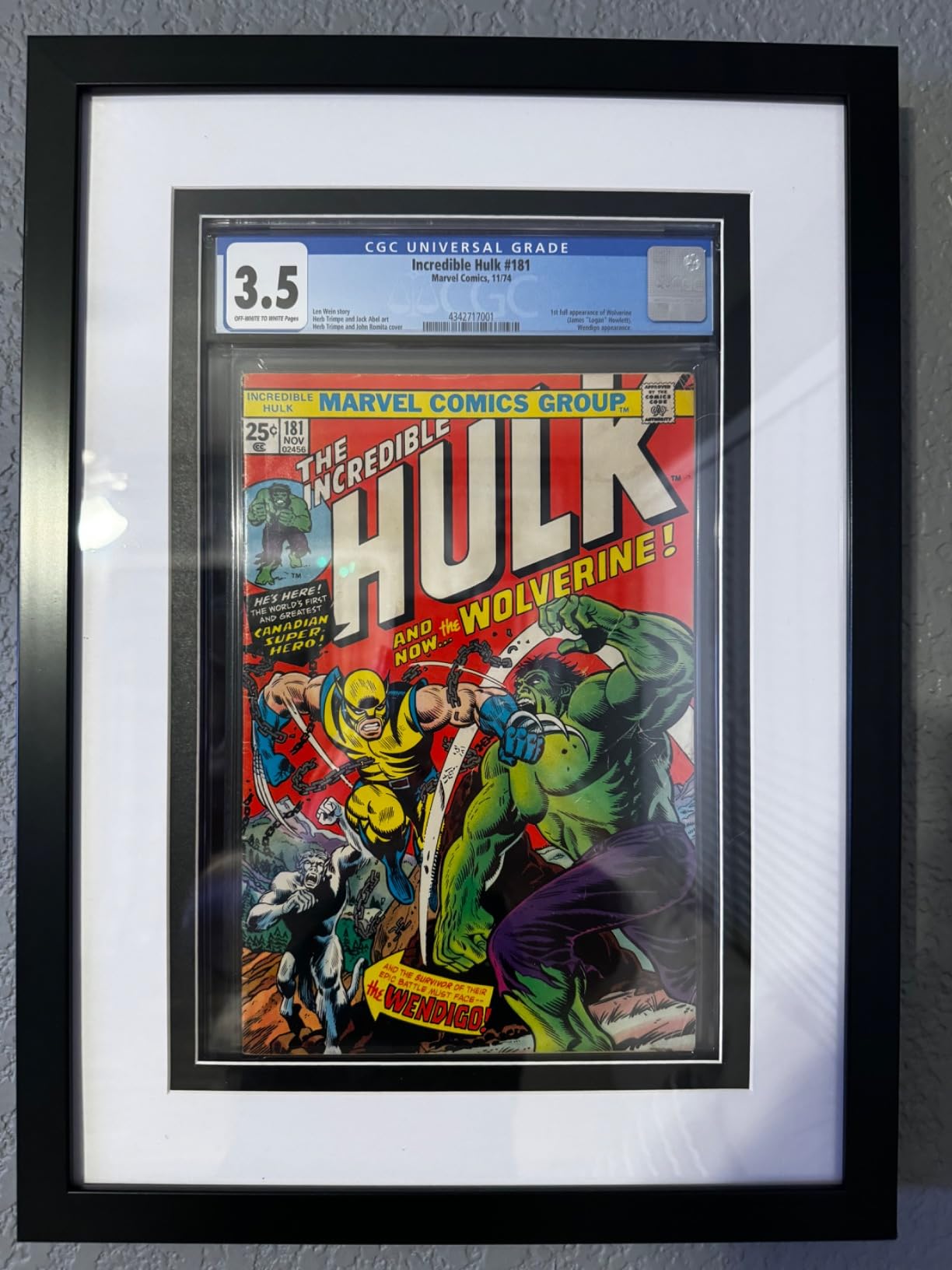 Graded Comic Book Frame, Black and White Acid-Free Mat Board, Includes UV Protected Poly Facing customer photo 1