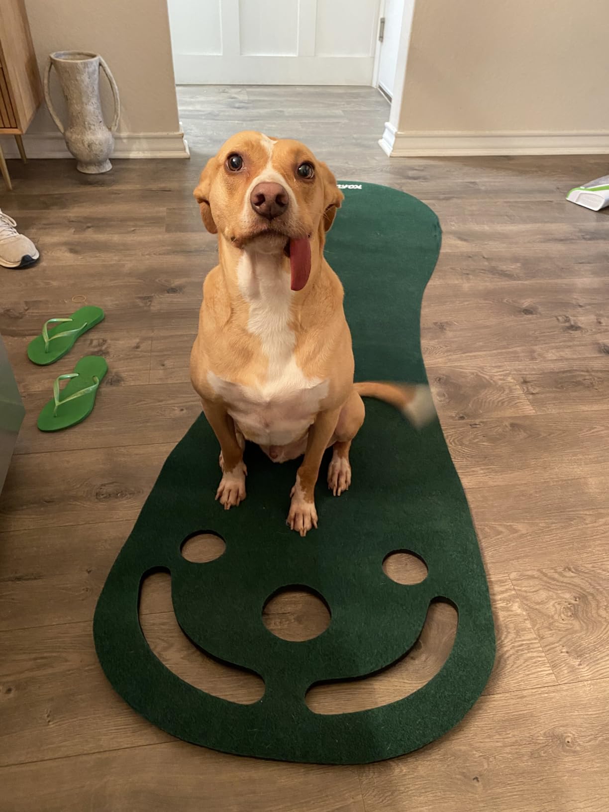 KOFULL Putting Green Mat Set - Indoor/Outdoor Golf Putting Practice (78