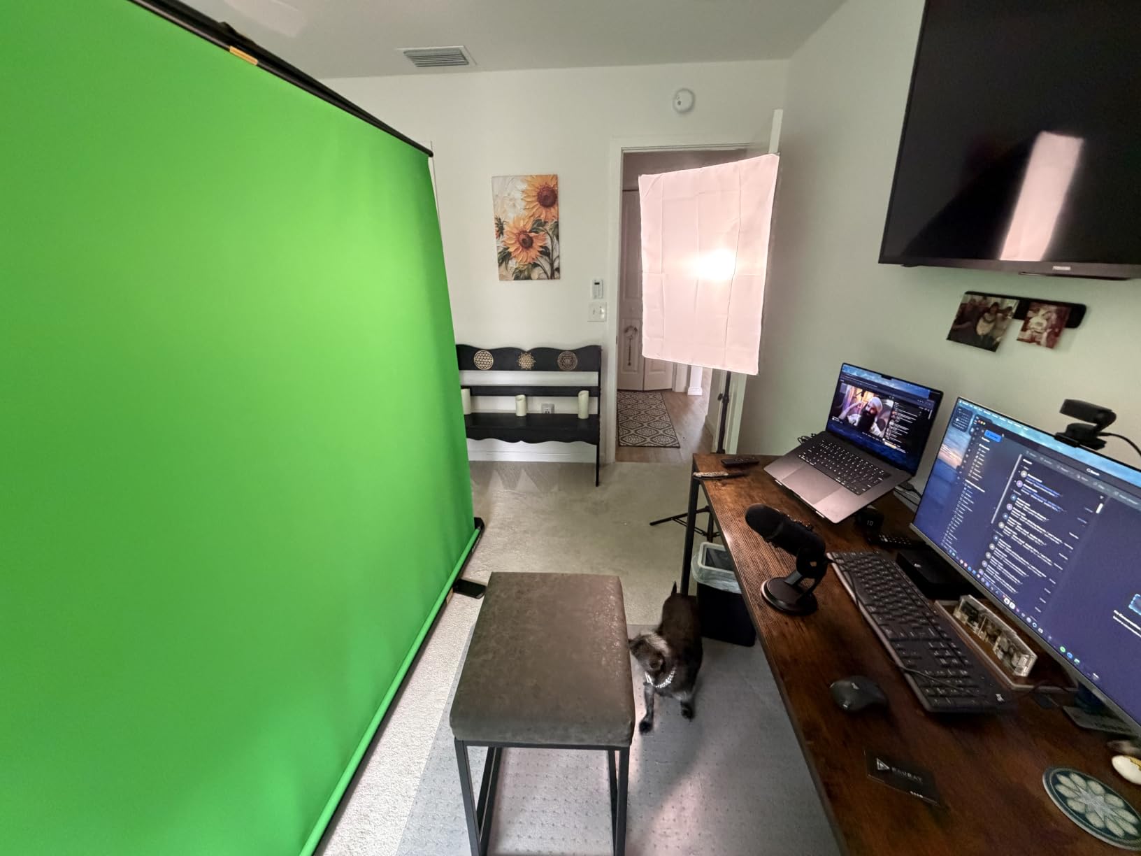 RAUBAY 78.7 x 82.7in Large Collapsible Green Screen Backdrop with Stand for Streaming customer photo 1
