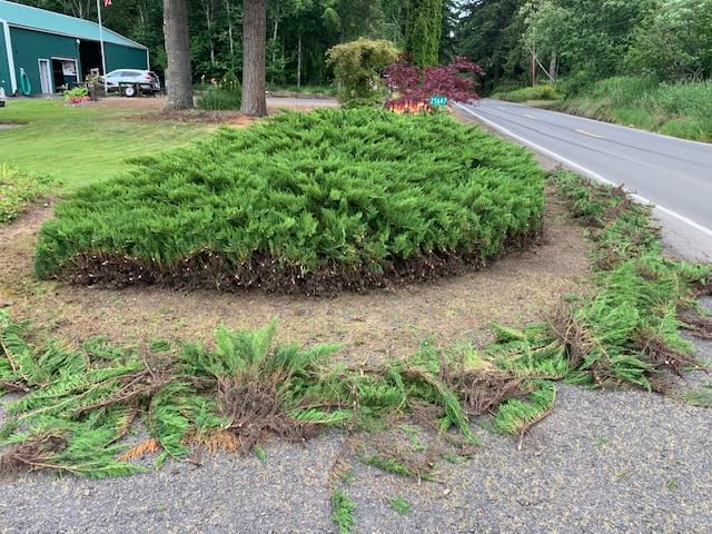 MZK 22'' Cordless Hedge Trimmer, 20V Bush Trimmer, Handheld Hedge Cutter, Grass Shrub Trimmer, Lightweight & Compact Trimmer(2 * 4.0Ah Battery & Charger Included) customer photo 1