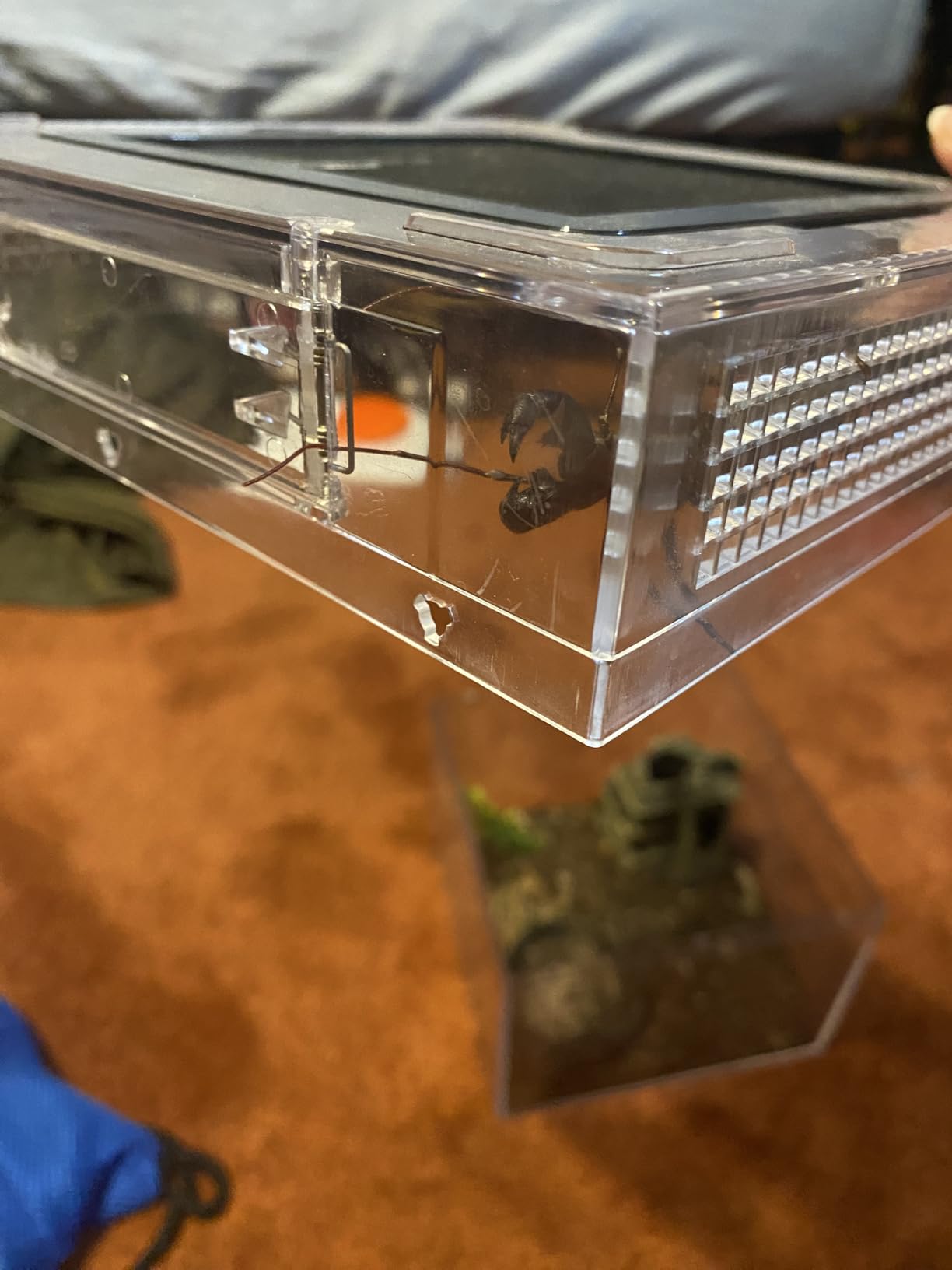 Reptile Growth Mini Reptile Terrarium, 8