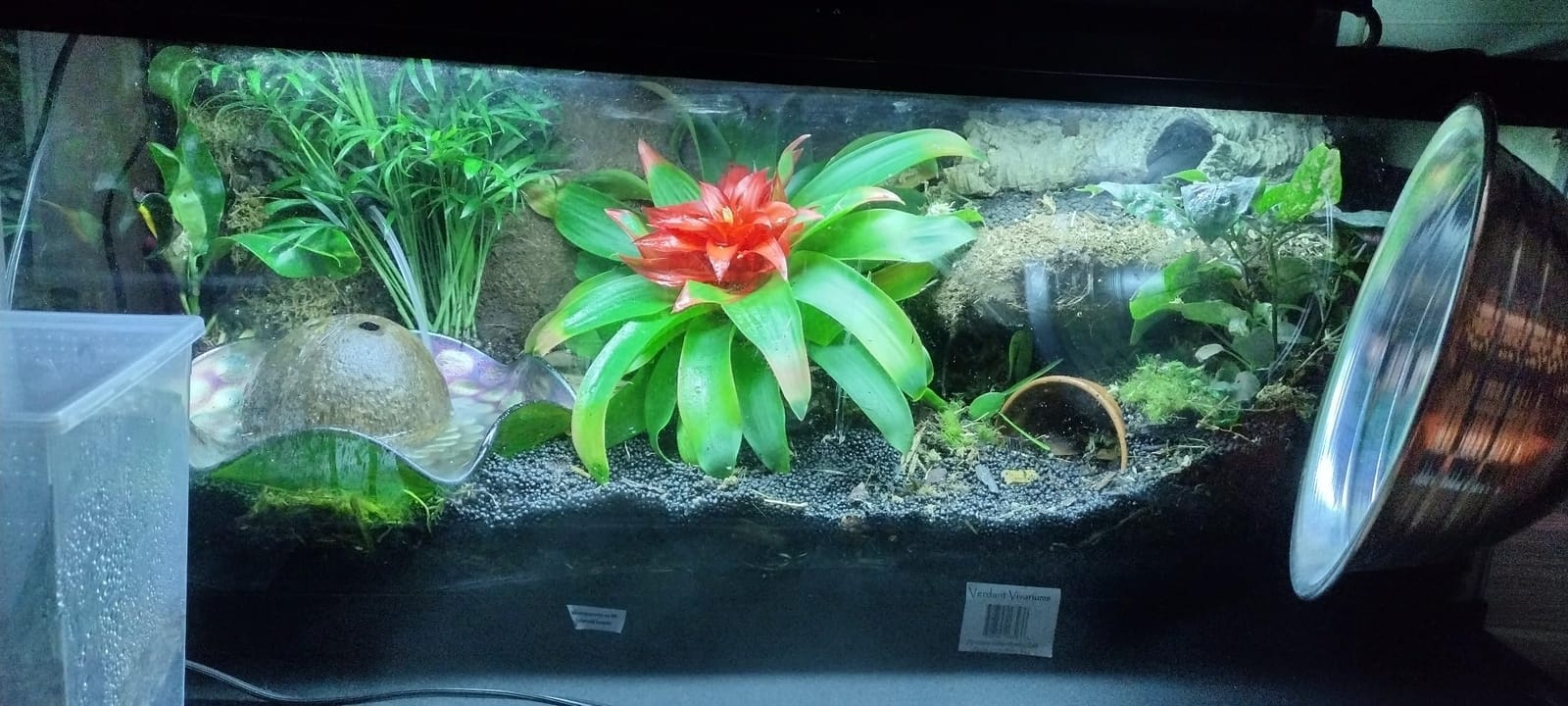 Exo Terra Sub Stratum, Bioactive Volcanic Substrate for Reptile Terrariums, 4.4 lb customer photo 1