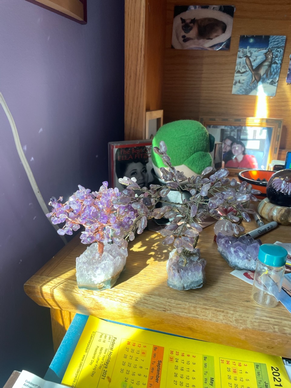 Jovivi Amethyst Healing Crystal Money Tree Home Decor Gifts | Natural Amethyst Cluster Geode Druzy Base Feng Shui Crystal for Purple Room Office Desk Decorations, Wealth, Good Luck customer photo 2