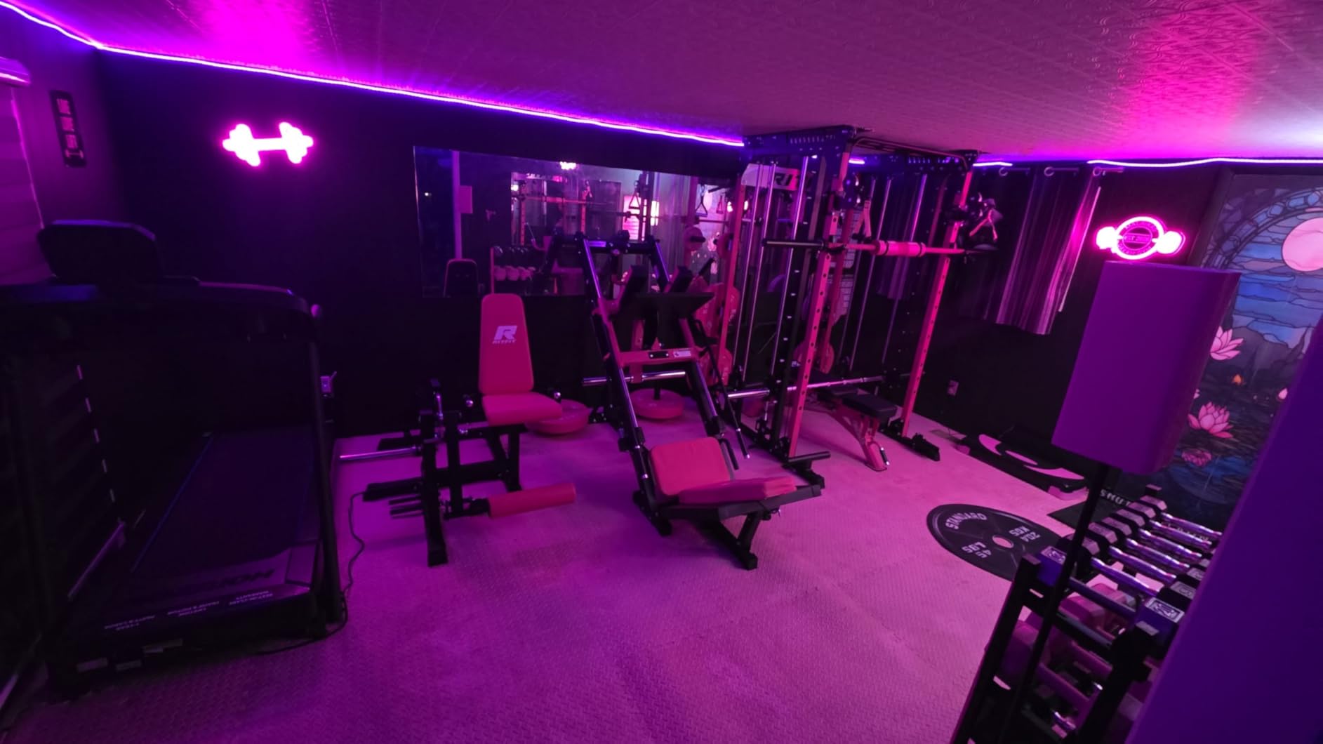 Lucunstar Gym Neon Sign Barbell Pink Neon Signs LED Dumbbell Shaped Light Up Gym Wall Stickers for Fitness Club Decor LED Sign Sports Gifts for Teen Girls Teen Sports Room Game Room Decor customer photo 2
