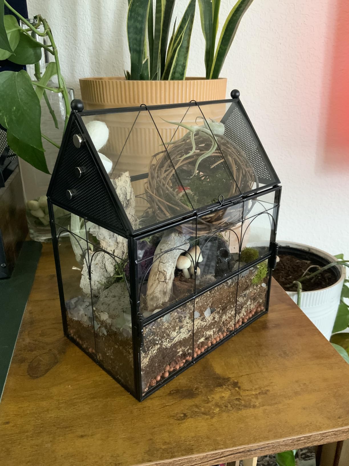 Galapagos Bioactive Soil, 8 Quart customer photo 1