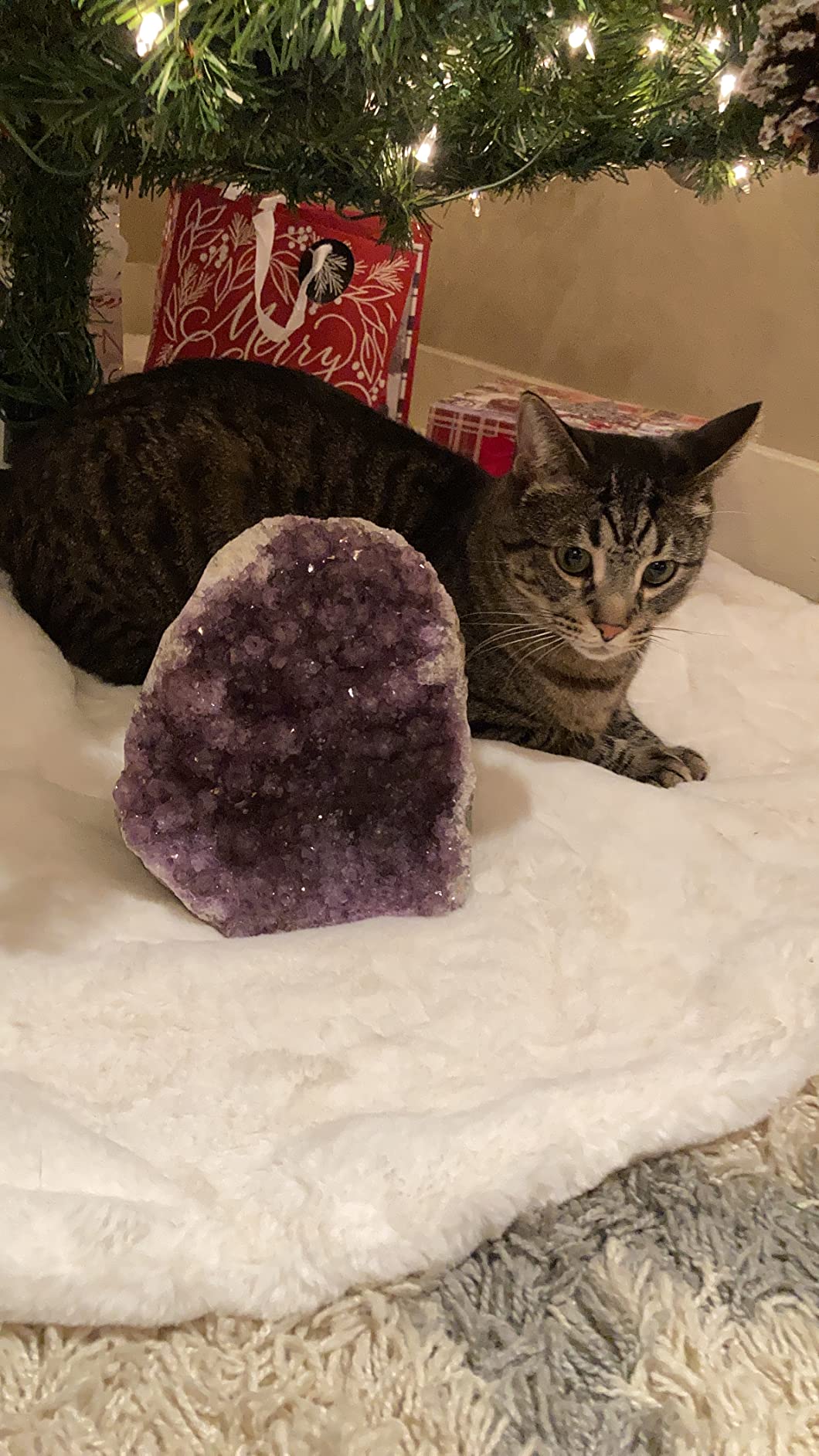 2 to 3 Lb Amethyst Crystal Geode From Uruguay - 4