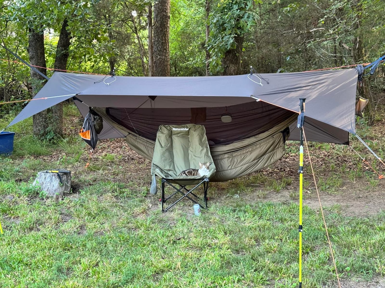 Onewind 11ft Ultralight Camping Hammock with Mosquito Net and Ridgeline customer photo 2