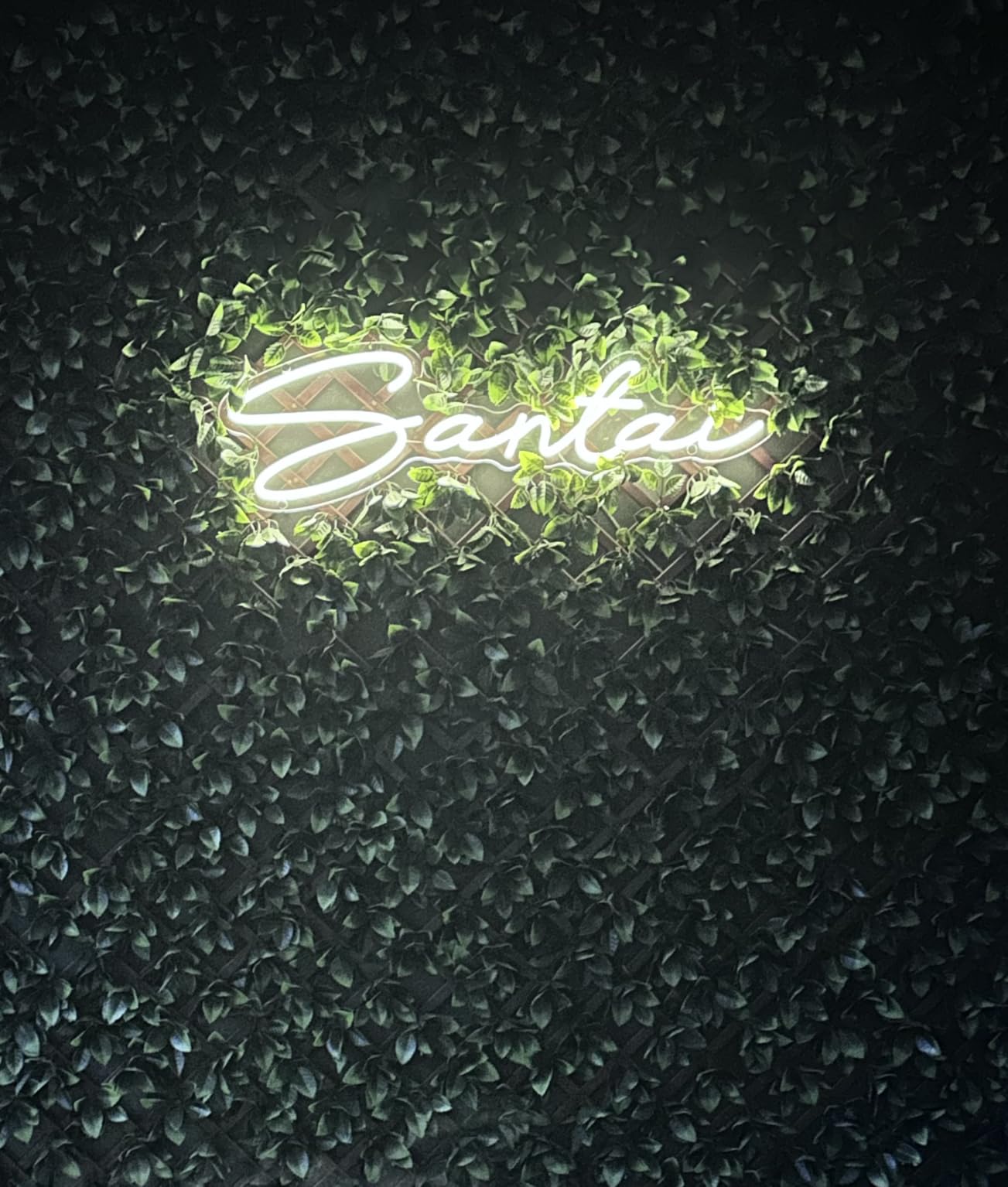 Custom Neon Signs,Personalized Dimmable LED Neon Signs for Family Birthday Bar Wedding Party Night Light&Company Logo or Business Sign,Birthday Gift Neon Light(Optional 18