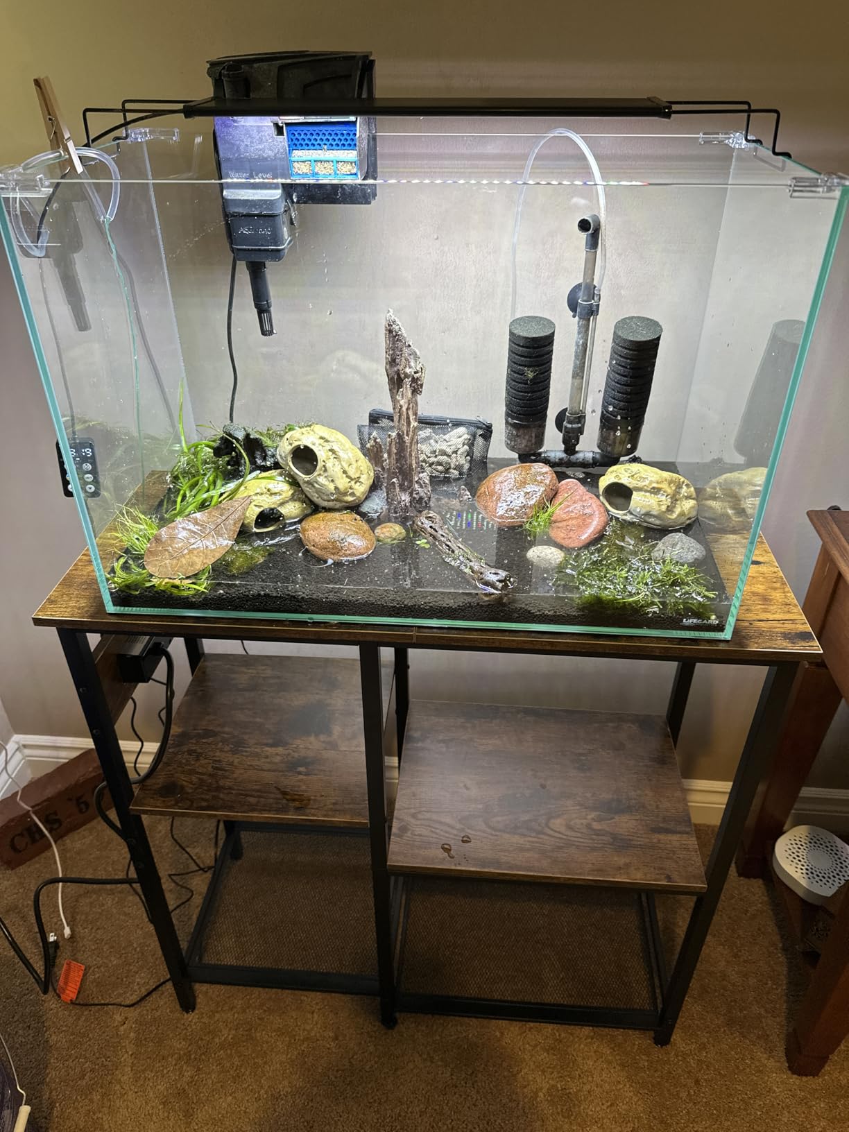 Lifegard Aquatics 15 Gallon Rimless Aquarium, Clear Glass, Ultra Clear Sealant Fish Tank, 5mm Thick with Dense Leveling Mat for Freshwater/Marine, Home or Office Decor (23.22x11.02x13.38 inches) customer photo 1