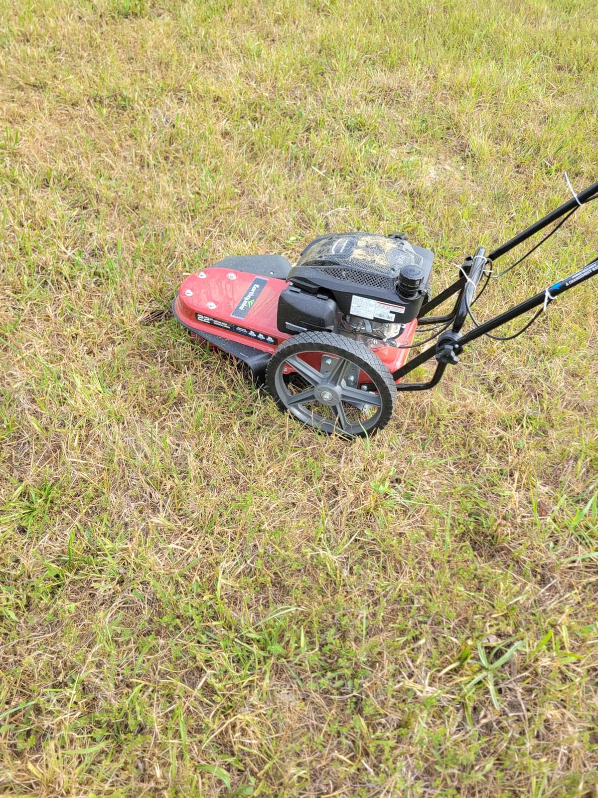 Earthquake Walk Behind String Mower With 160cc Viper 4-Cycle Engine, 22