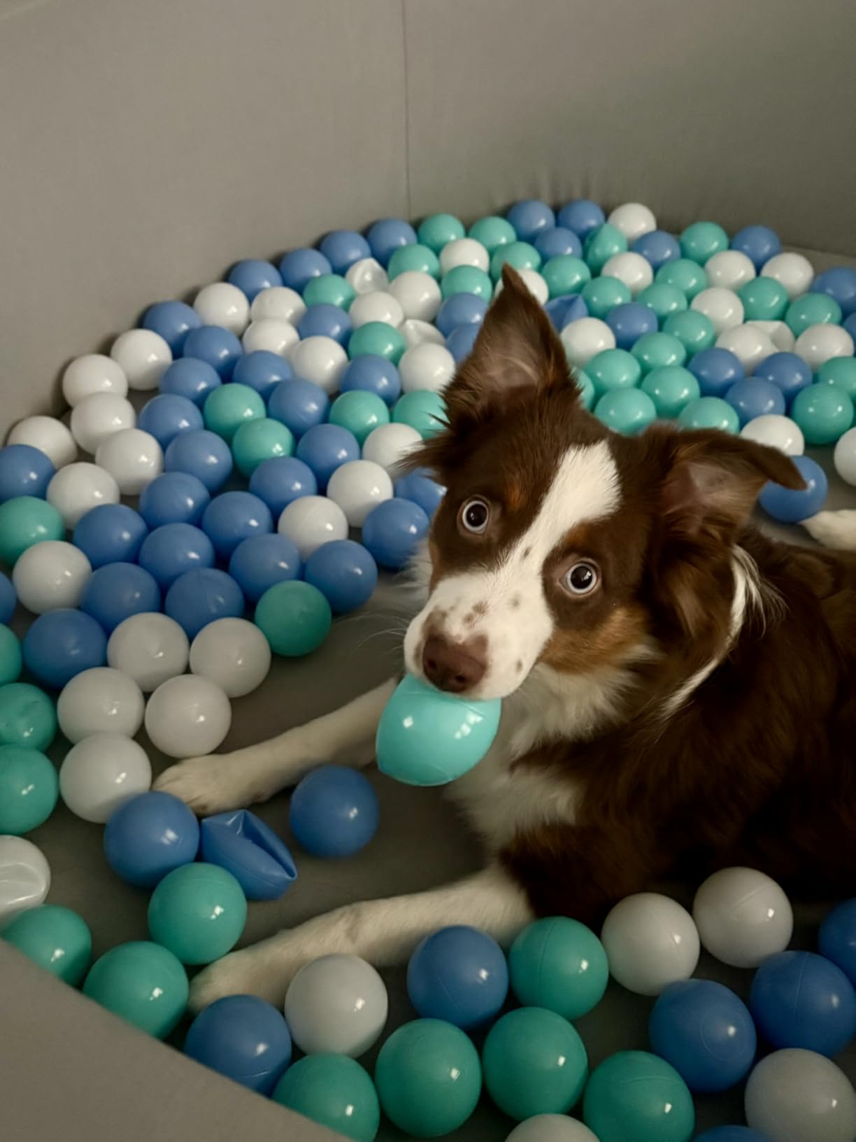 SHJADE Foam Ball Pit, 35.4