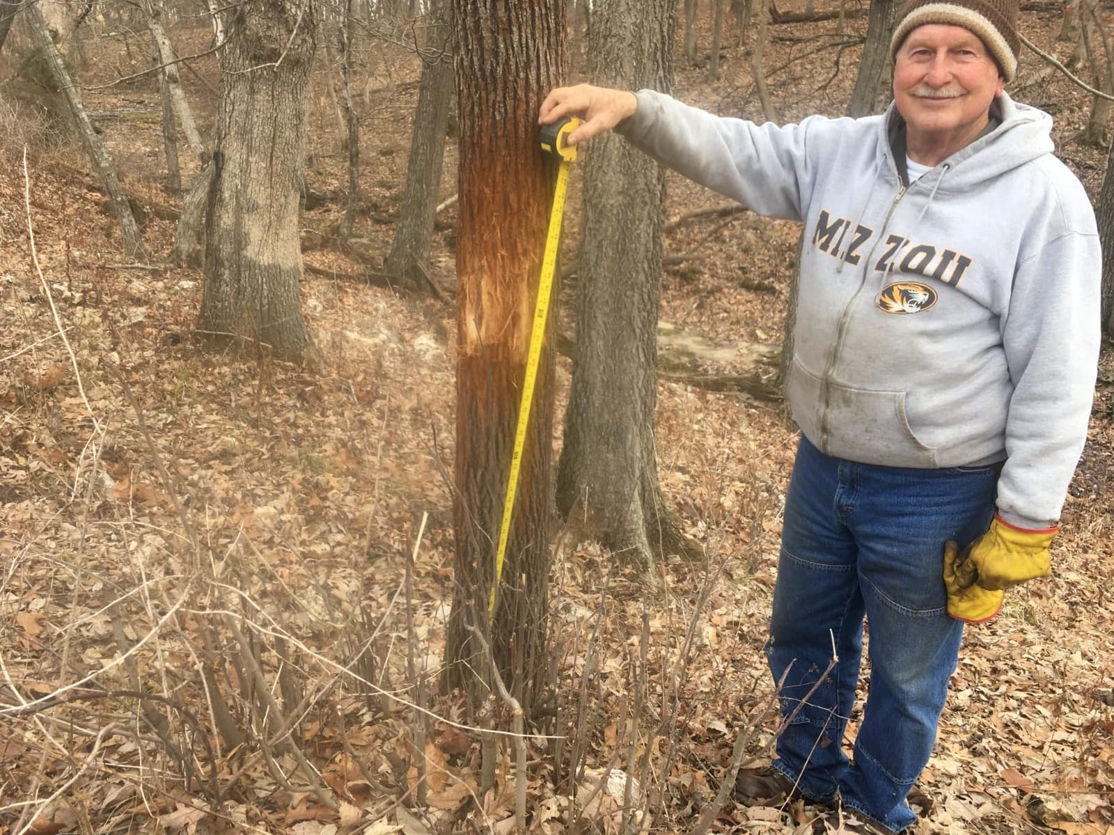 EGO POWER+ Pole Saw for Tree Trimming, Cordless Electric Pole Saw with Telescopic LED Cut Line Indicator, Battery and Charger Not Included - PS1000 customer photo 2