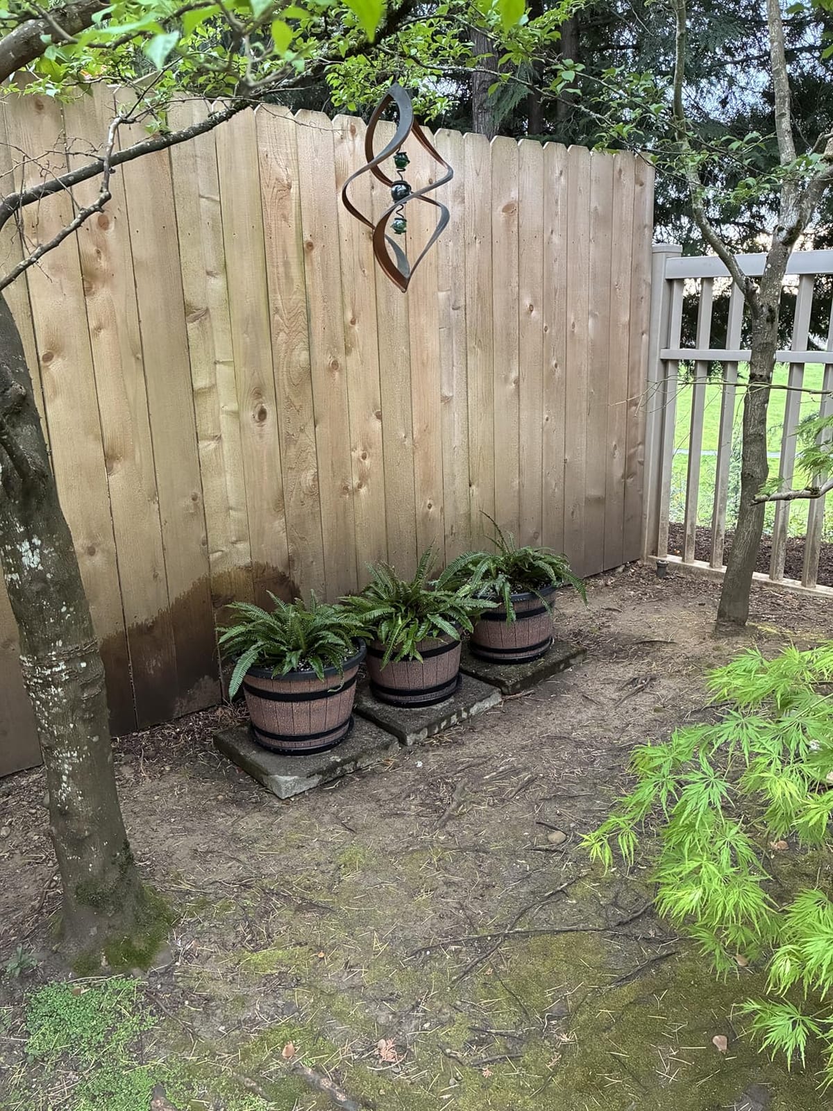 Quarut Large Plastic 3 Pack 16 inch Plant Pots, Whiskey Barrel Planters with Drainage Holes & Saucer. Flower Pots Imitation Wine Barrel Design for Indoor & Outdoor Garden Balcony Plants. 7 Gallons (Brown) customer photo 1