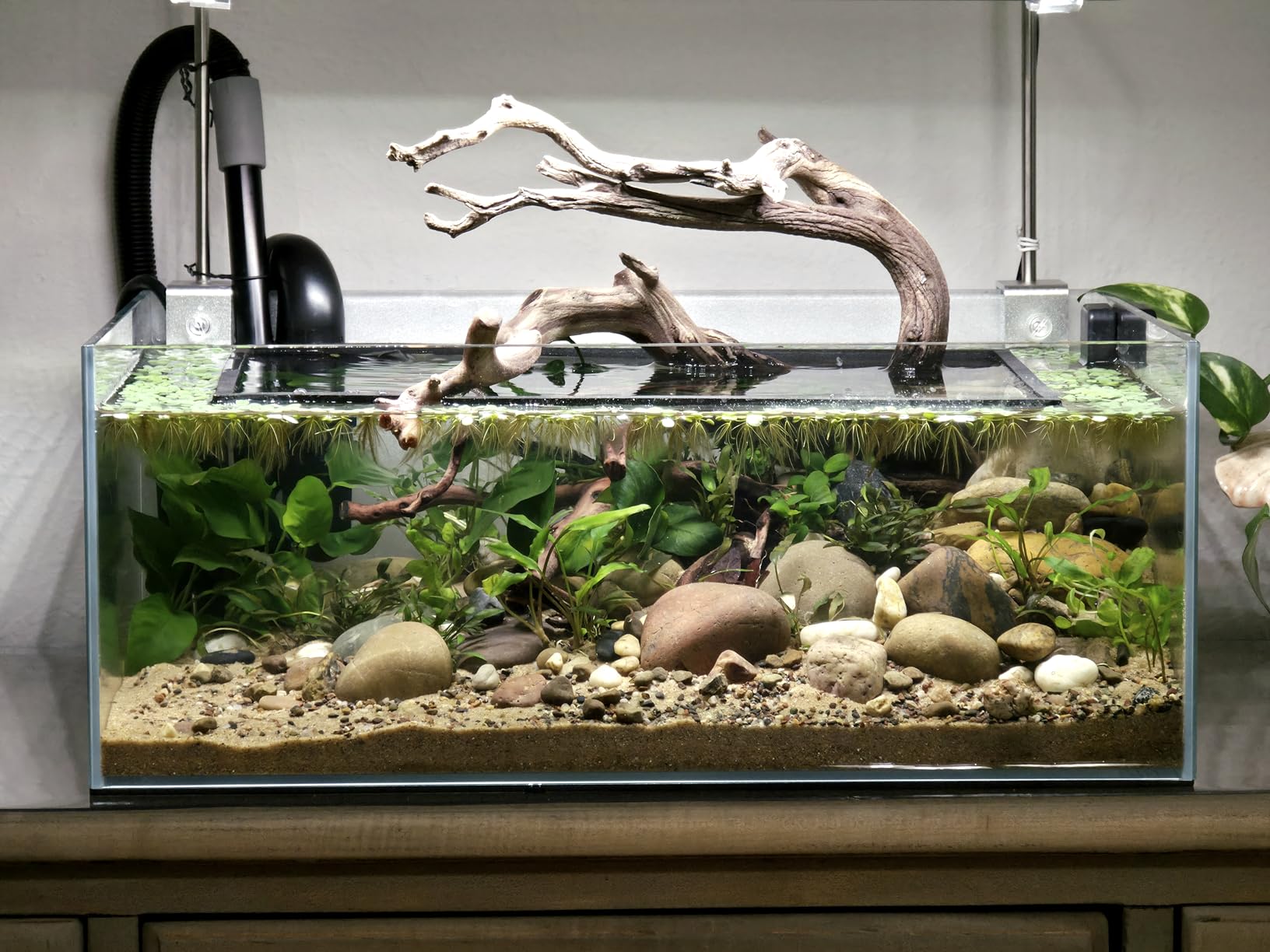 Fzone 9Gal Sharrow Rimless Low Iron Fish Tank Nova Clear Ultra-White 45 Mitered Edges Translucent Glass Anata Series Aquarium w/Black Foam Leveling Mat customer photo 2