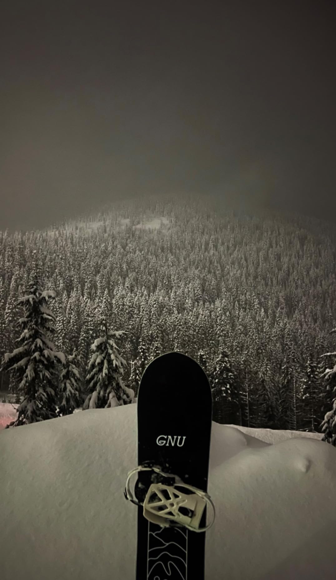 Ride A-4 Men's Snowboard Bindings customer photo 1