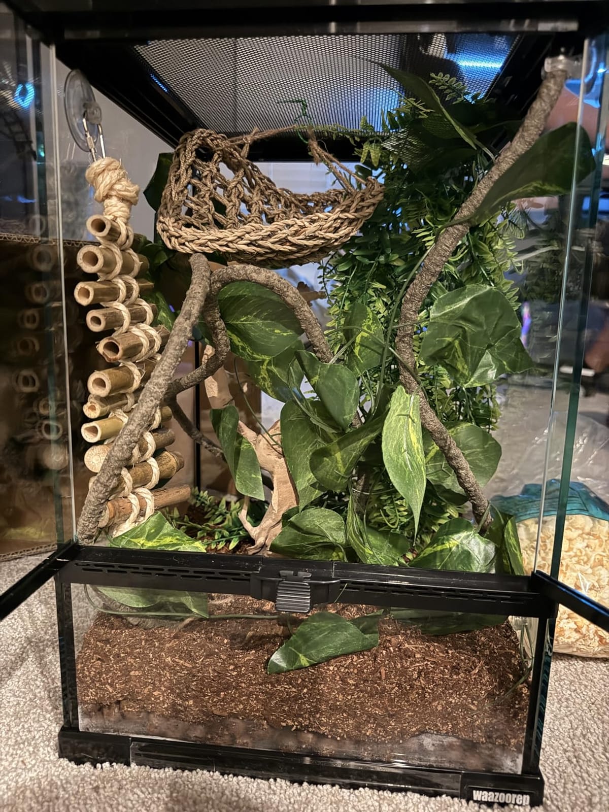 Reptile Glass Terrarium Tank 10 x 10 x 14in, Full View with Front Opening Door, Amphibians Enclosure Habitat Cage for Crested Gecko, Spider, Tarantula, Lizard, Hermit Crab, Frog, Mantises, Insects customer photo 2