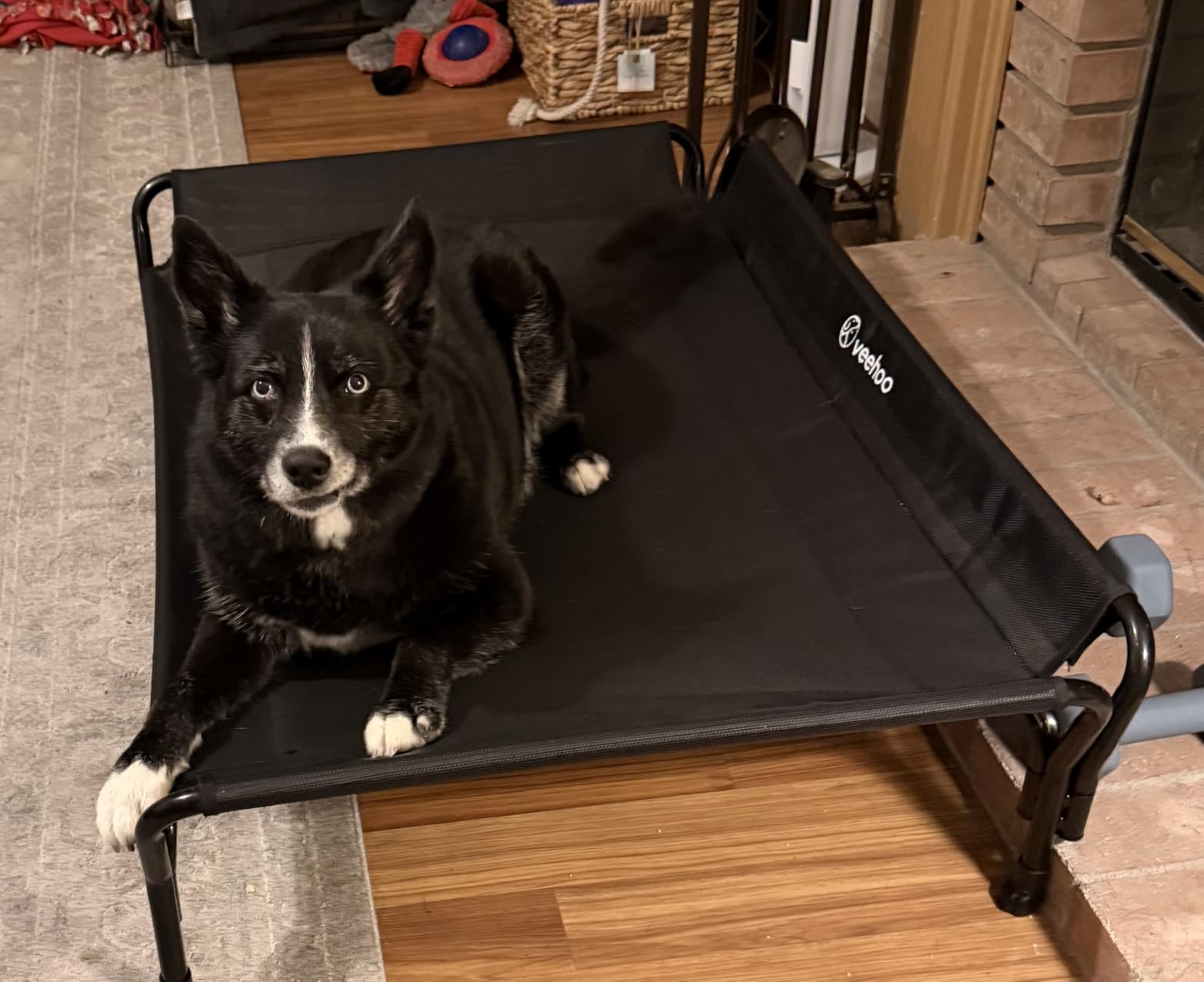Veehoo Cooling Elevated Dog Bed, Raised Dog Cot with Guardrail & Headrest customer photo 2