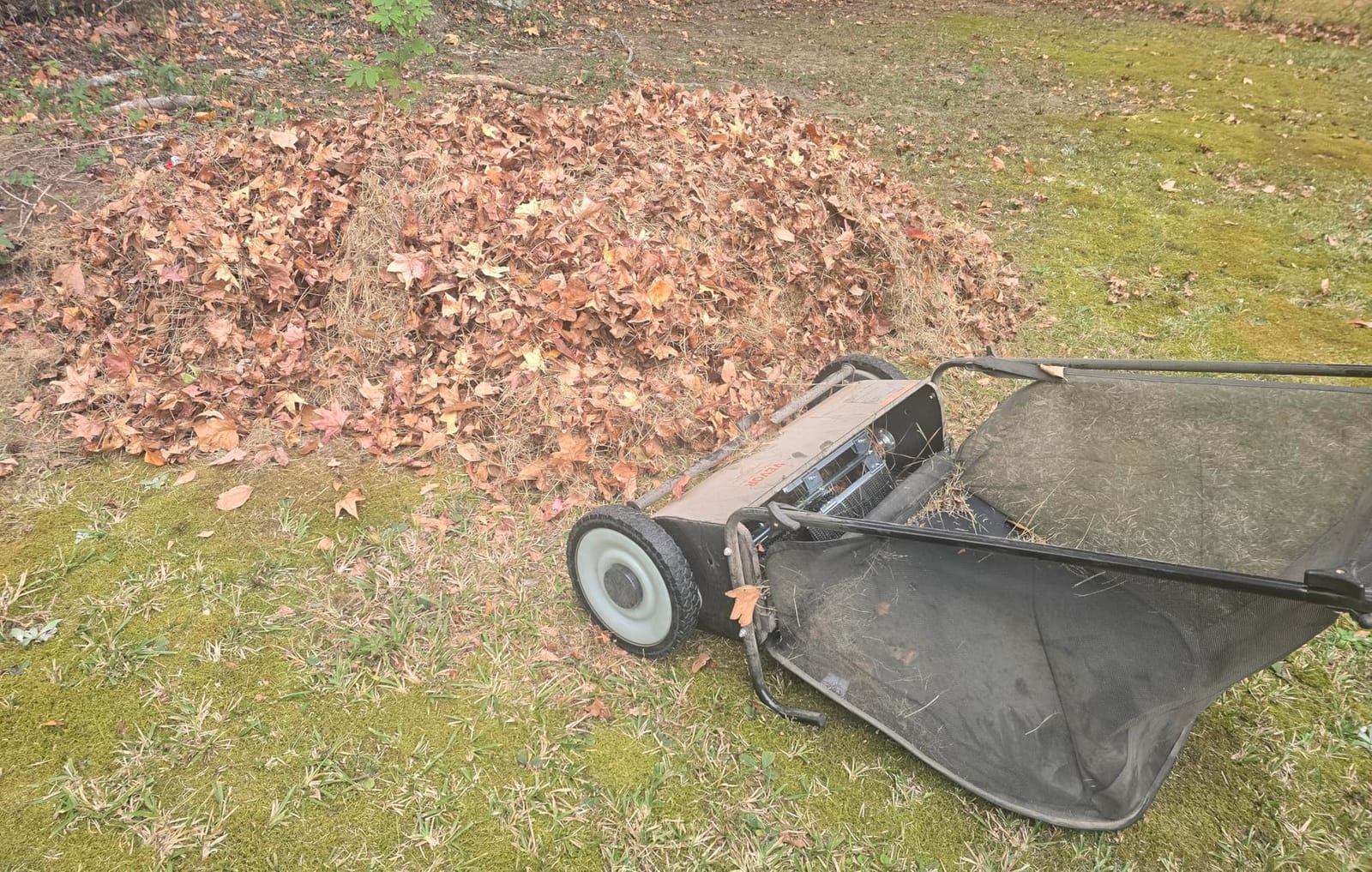 VEVOR Push Lawn Sweeper, 21inch Leaf & Grass Collector, Heavy Duty Thickened Steel Durable to Use with Large Capacity 3.5 cu. ft. Mesh Collection Hopper Bag, 2 Spinning Brushes | Adjustable Brush Height & 2 Spinning Brushes, Manual Yard Sweeper for Leaves, Grass Clippings and Lawn Debris customer photo 1
