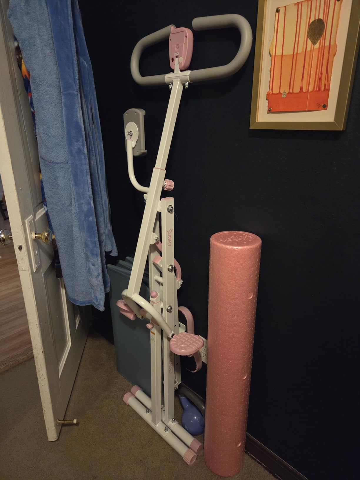 Sunny Health & Fitness Smart Upright Row-N-Ride Trainer w/Adjustable Resistance & 330LB Weight Capacity, Foldable Home Exercise Equipment for Arm, Glute & Leg Training, Free SunnyFit App Connection customer photo 1
