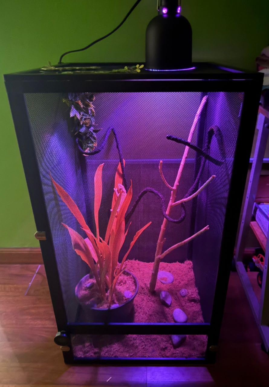 13 Gal Foldable Reptile Terrarium for Gecko & Dragon | 360° clear view with detachable & foldable design for portability. High airflow mesh. Fits crested geckos, chameleons customer photo 1