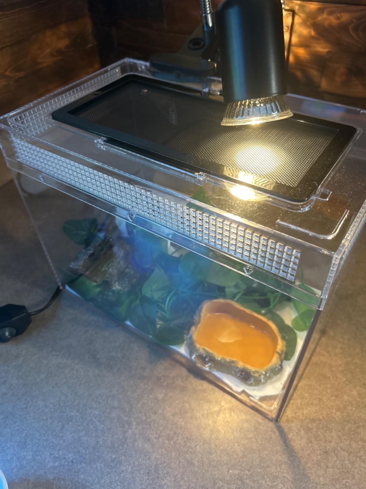 AZV Reptile Tank Starter Kit, 8 Piece Escape Proof Hermit Crab Cage Small | All In One Lizard Terrarium, Multi-Vent Compatible Gecko Habitat, Clear PC Material Frog Enclosure, Easy-Clean Waterproof Base customer photo 1