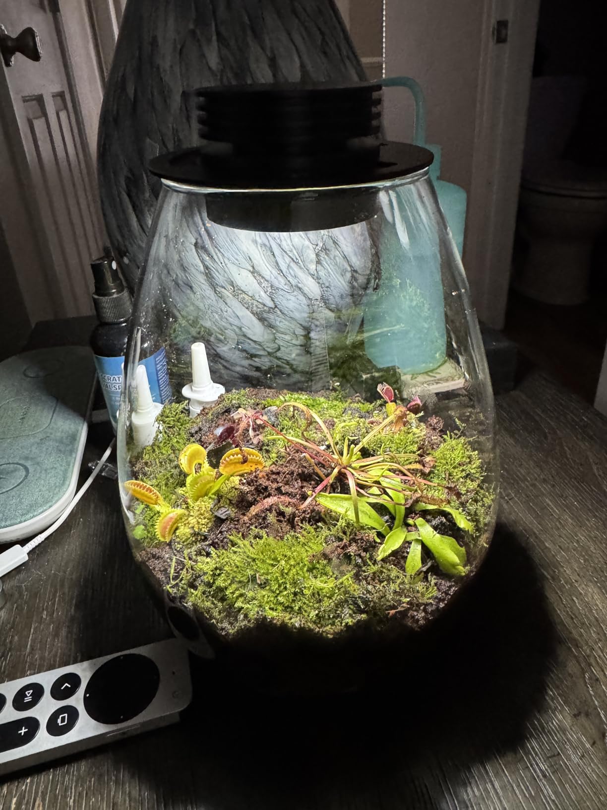Desktop Glass Plant Terrarium with Grow Light for Carnivorous Plants & Moss | H 7.8 x D 6.7 in; Timer Auto On/Off; For Succulents, Mini Plants and Betta Tanks; Indoor Decor for Home or Office; Gifts customer photo 2