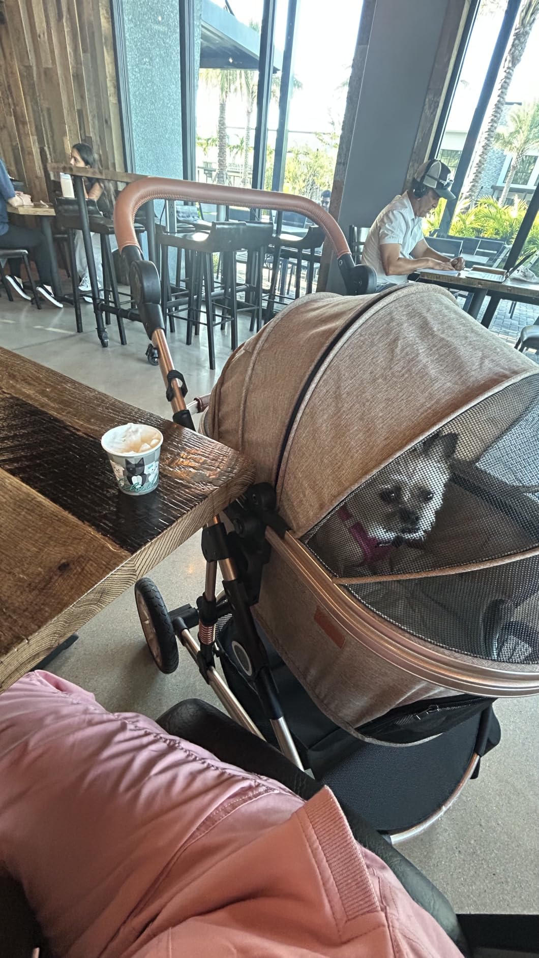 Bicystar Dog Stroller with Detachable Carrier, Rubber Wheels, 50 lbs, Grey | 3-in-1 stroller and car seat, real solid rubber wheels, fits 2 small or 1 medium pet, foldable frame customer photo 1