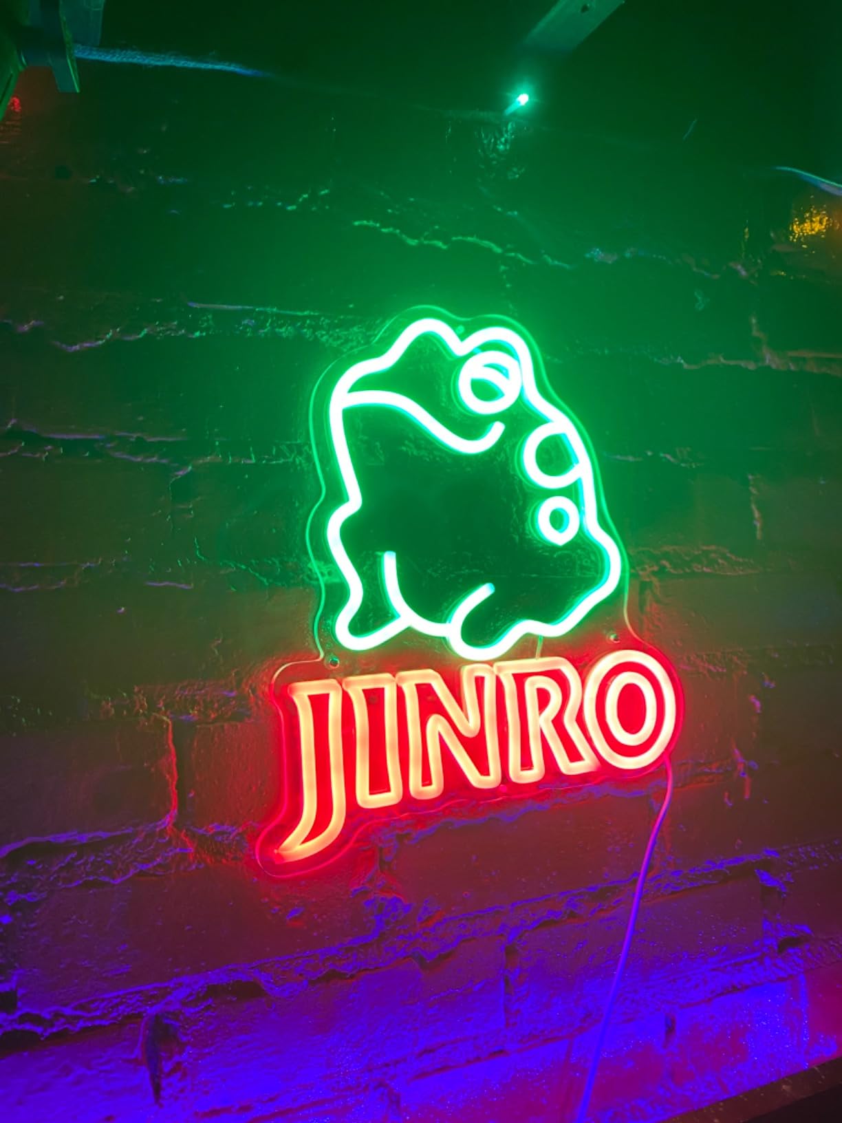 Studio Neon Sign, Music Studio LED Light for Recording Room Streaming Decor | Content Creator Setup, Podcast Background, Gaming Room, DJ Booth, Live Streaming, Premium Finish, USB Powered, Gift customer photo 2