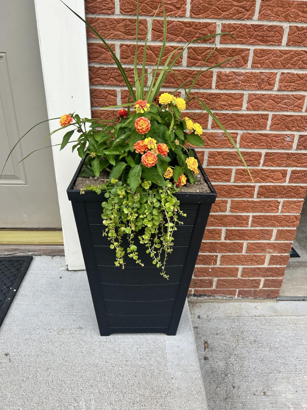 Keter Set of 2 Resin Modern Outdoor 22 Inch Tall Large Flower Pots, Tapered Wood Look Planters for Outdoor Plants and Front Porch Decor, Graphite customer photo 1