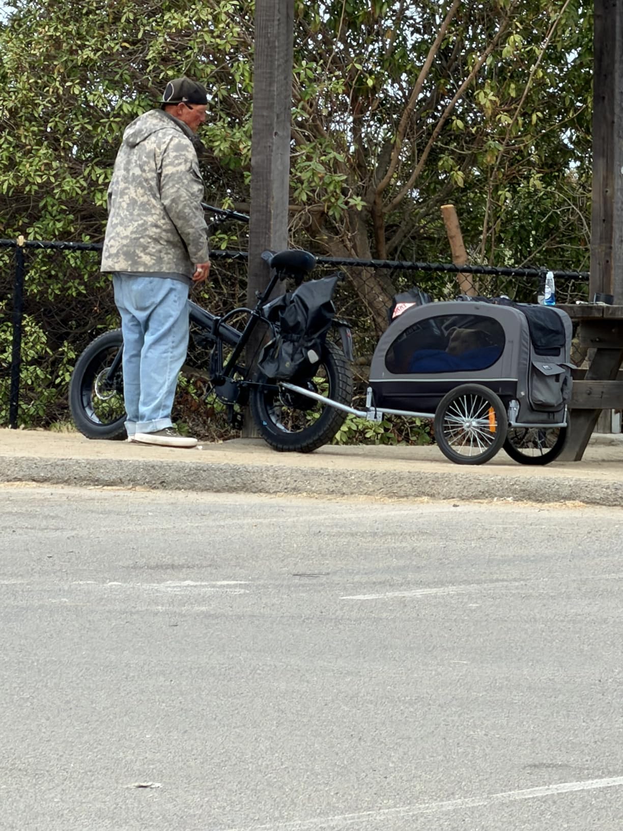 VEVOR Dog Bike Trailer, Supports up to 88 lbs, Pet Cart Bicycle Carrier, Easy Folding Frame with Quick Release Wheels, Universal Bicycle Coupler, Reflectors, Flag, Collapsible to Store customer photo 1