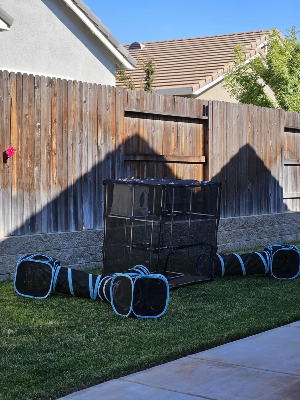 INTURN Catio Outdoor Cat Enclosure, Mega Kit for Outdoor and Indoor(Mega Kit) customer photo 1